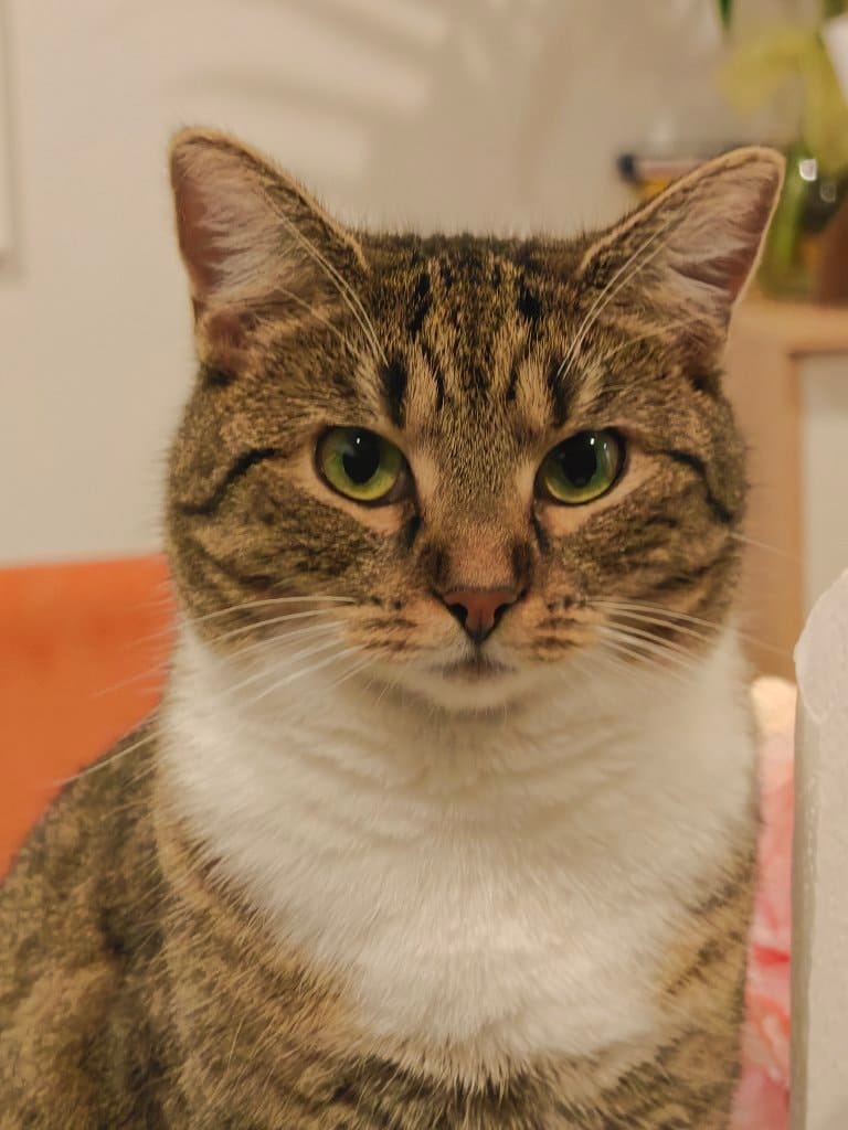 Lily
