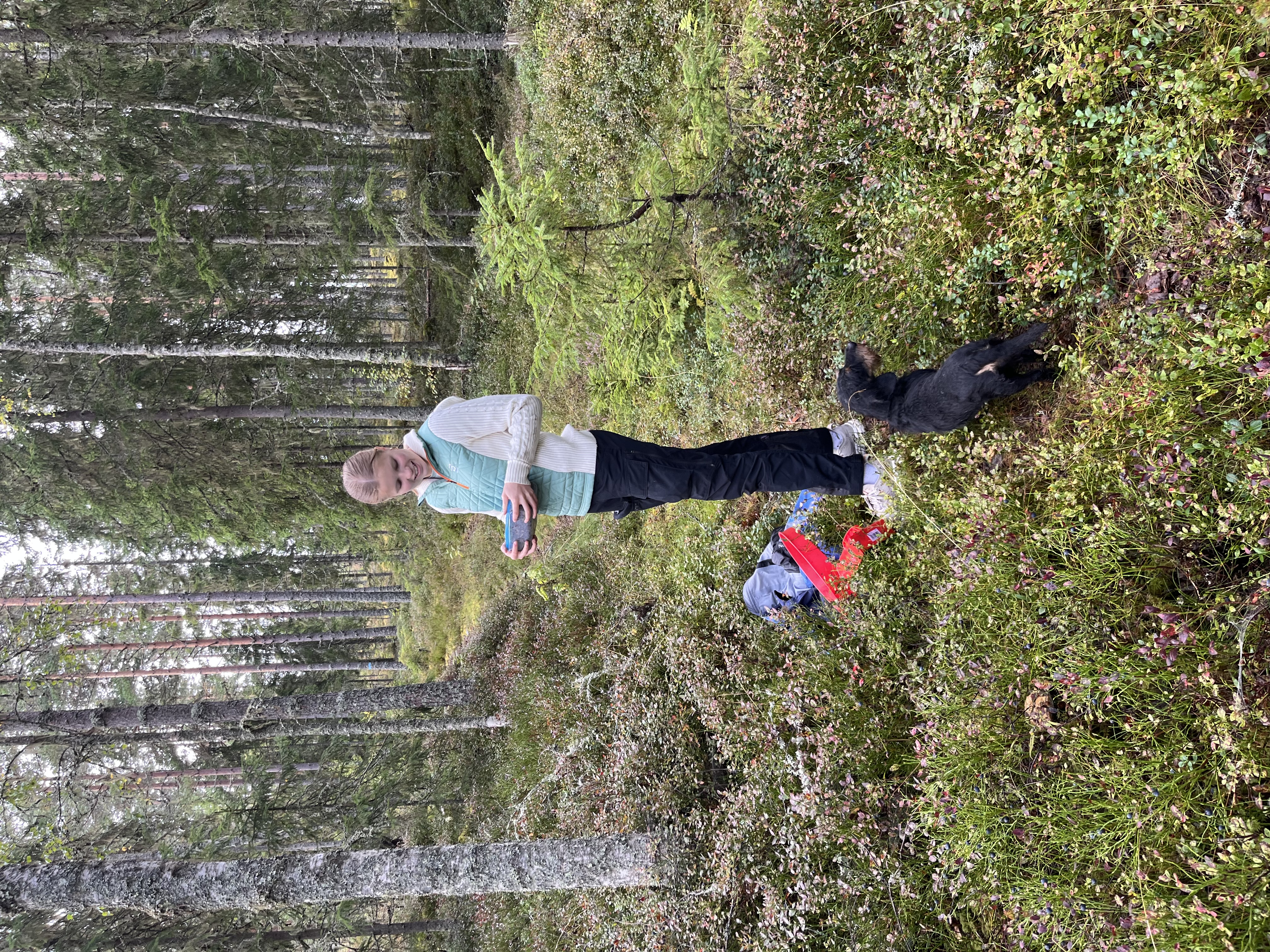 image-7