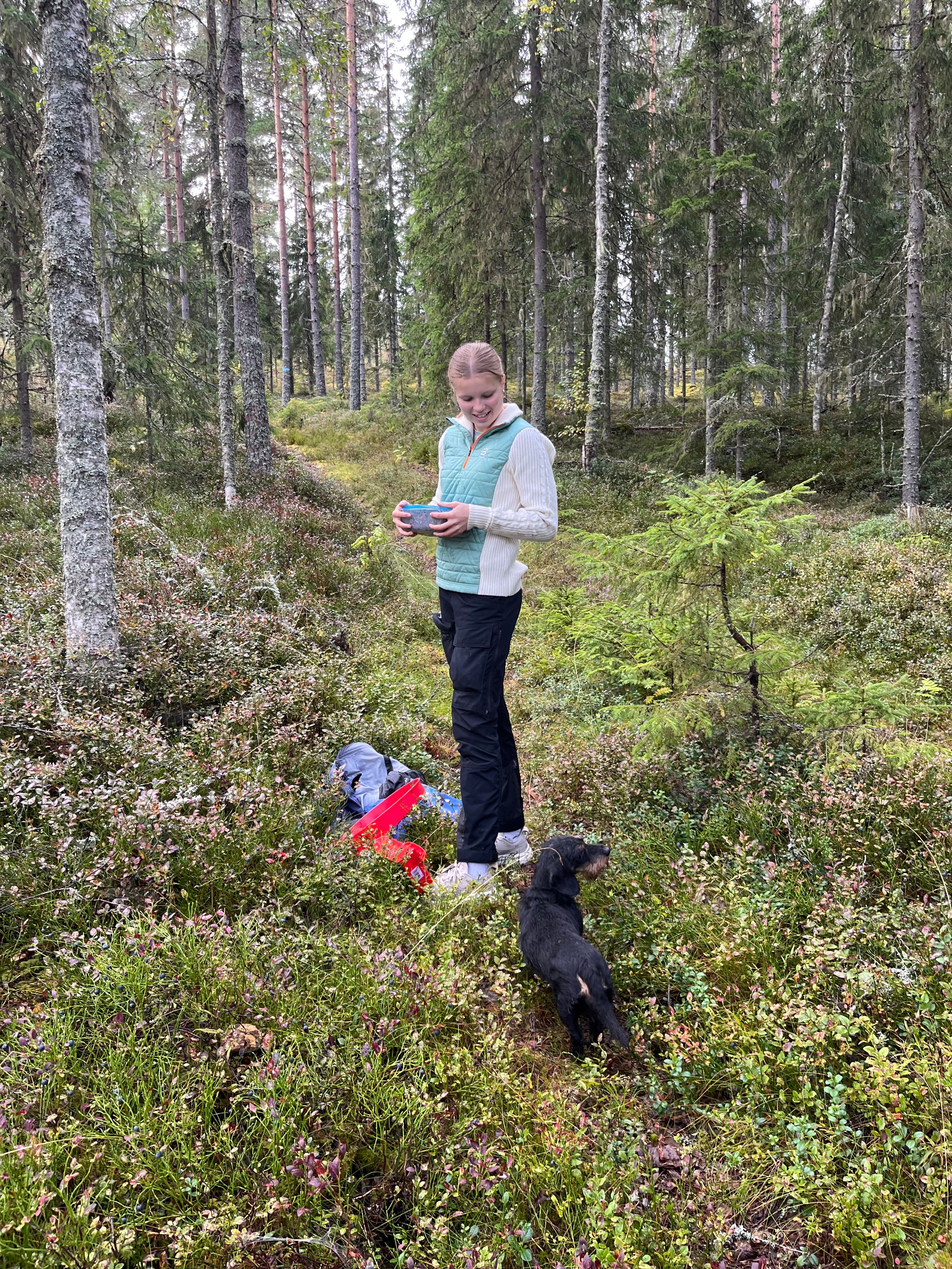 image-7