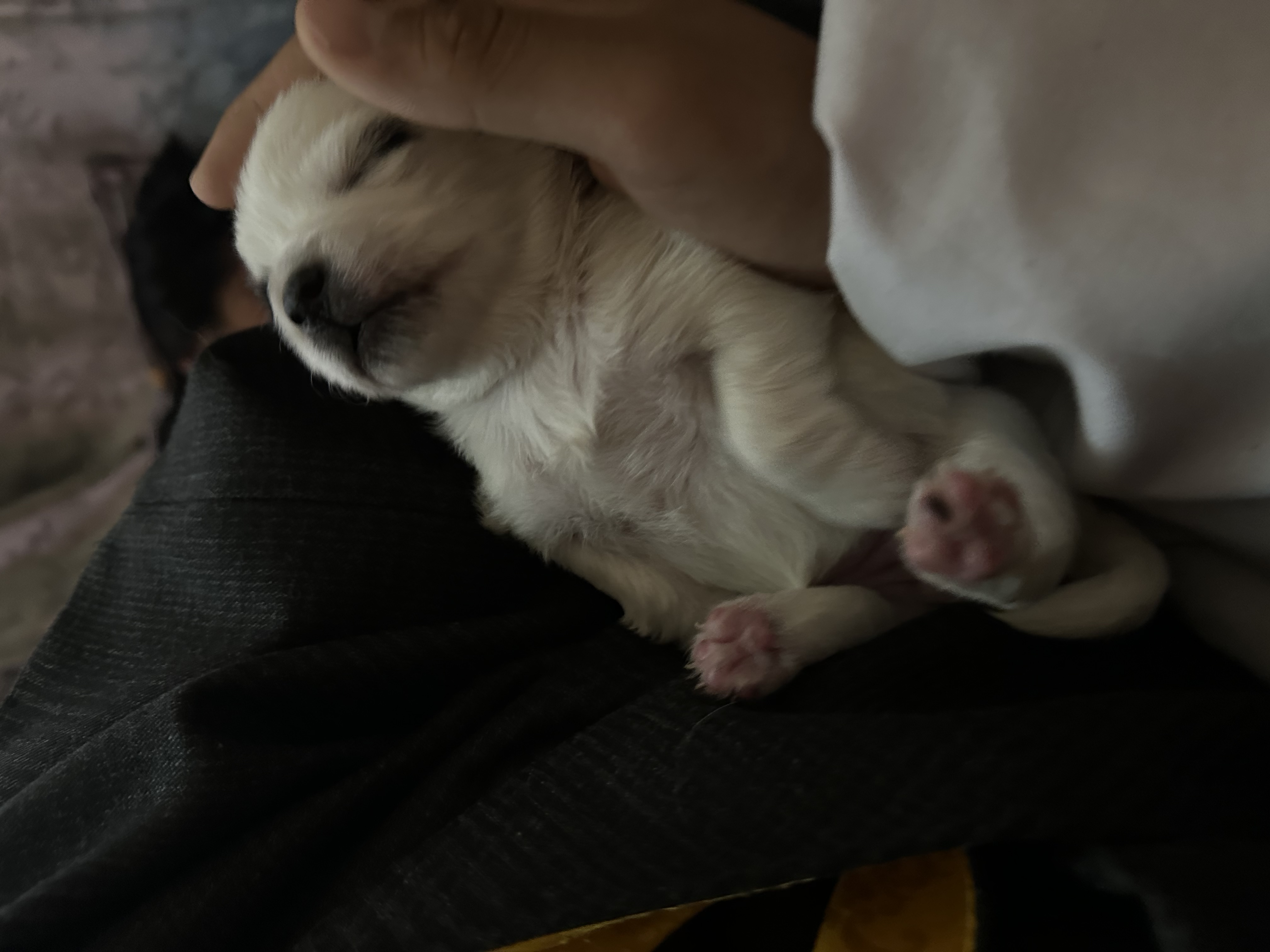 image-6