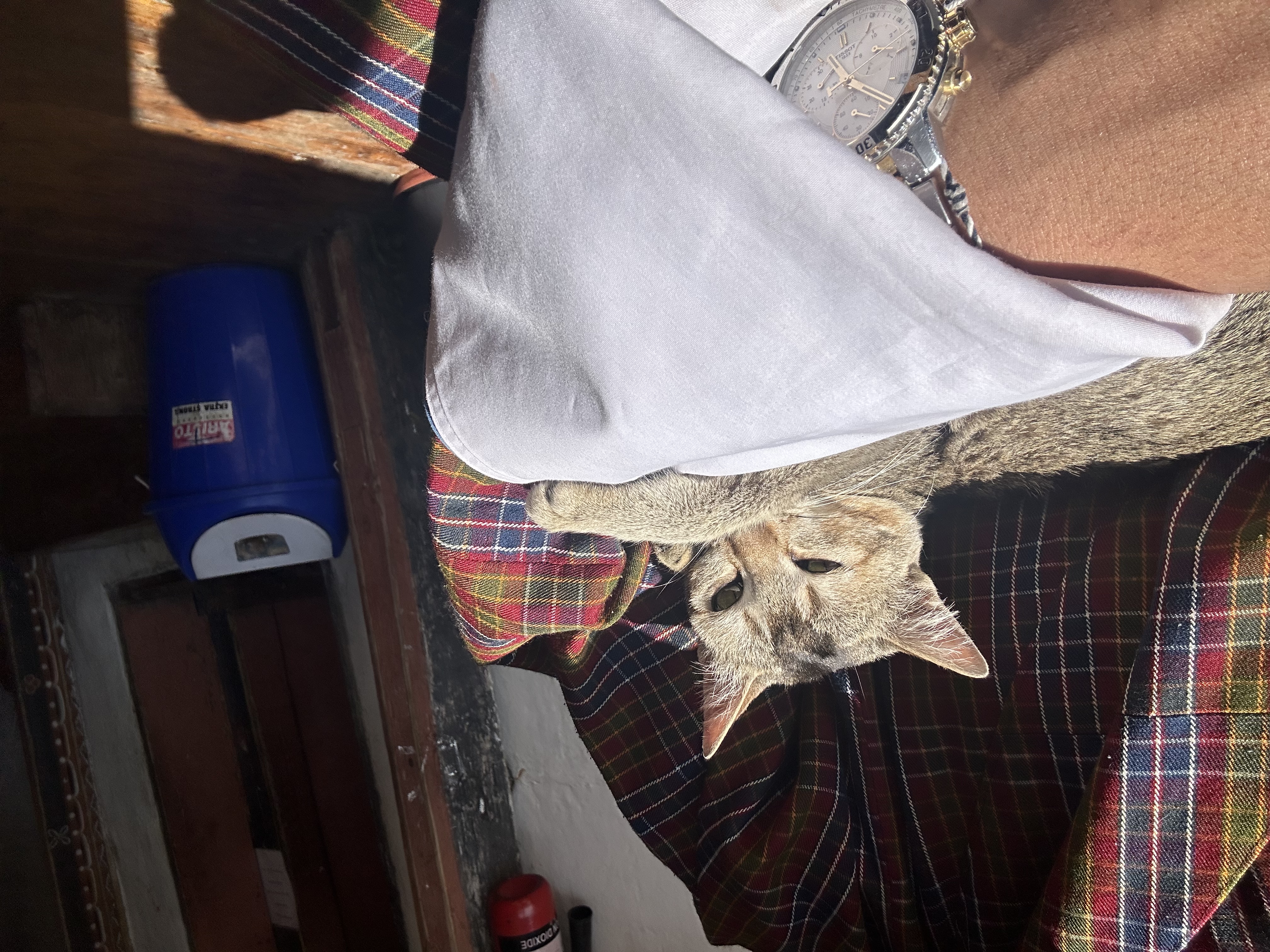 image-7