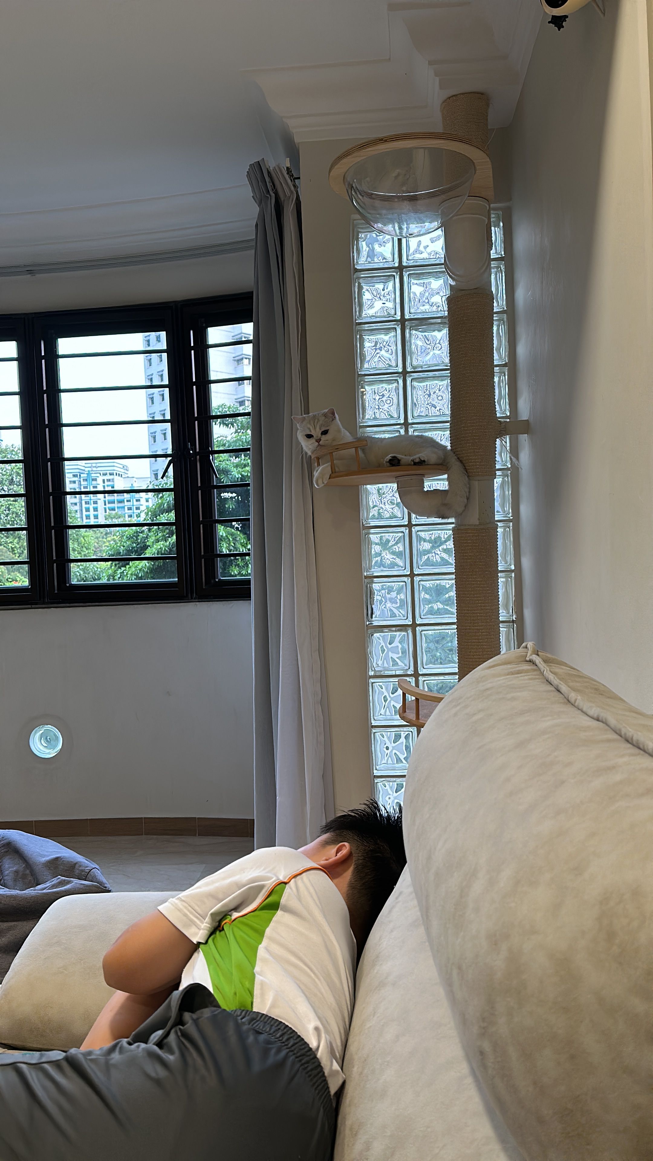 image-11