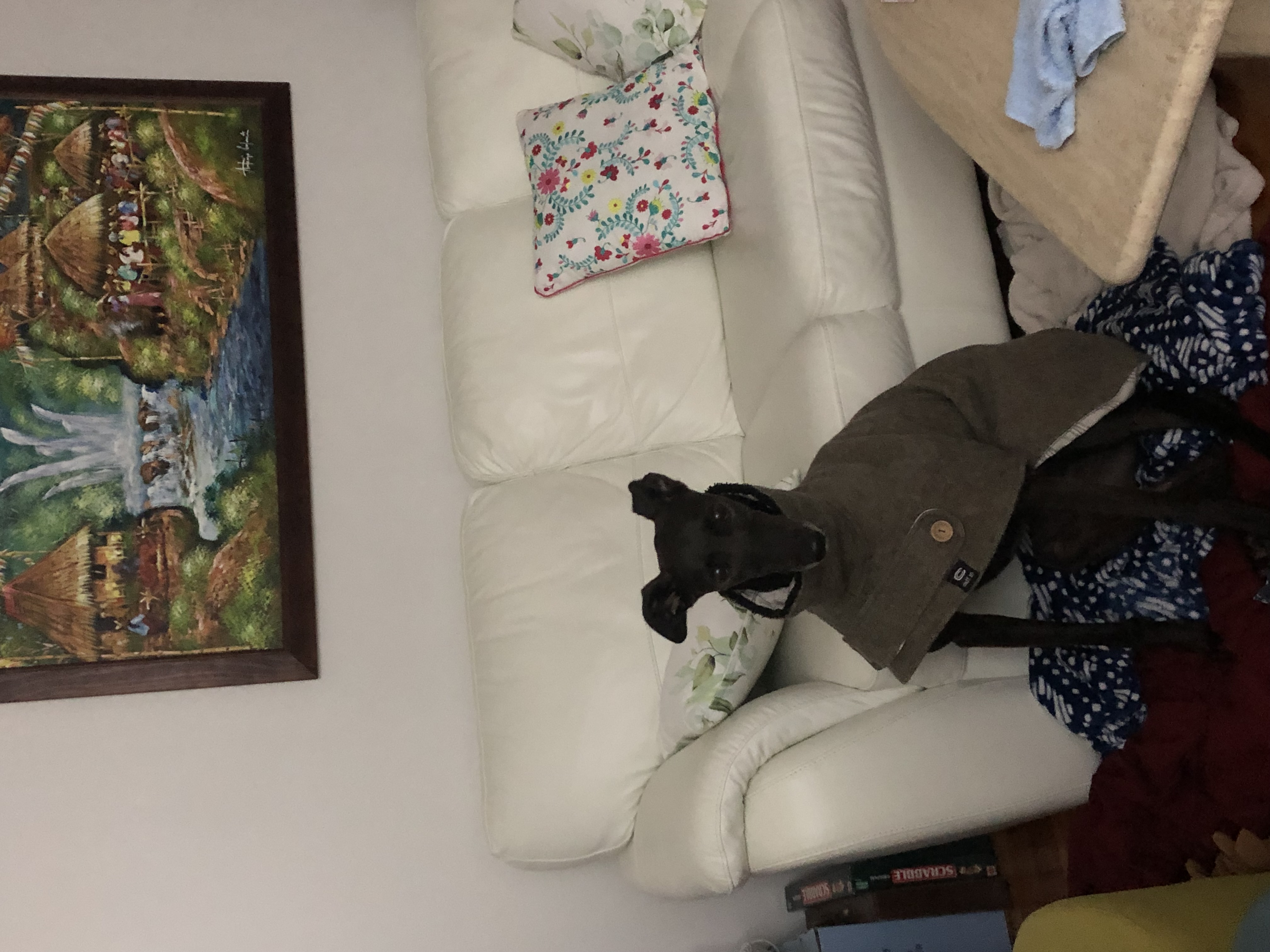 image-6