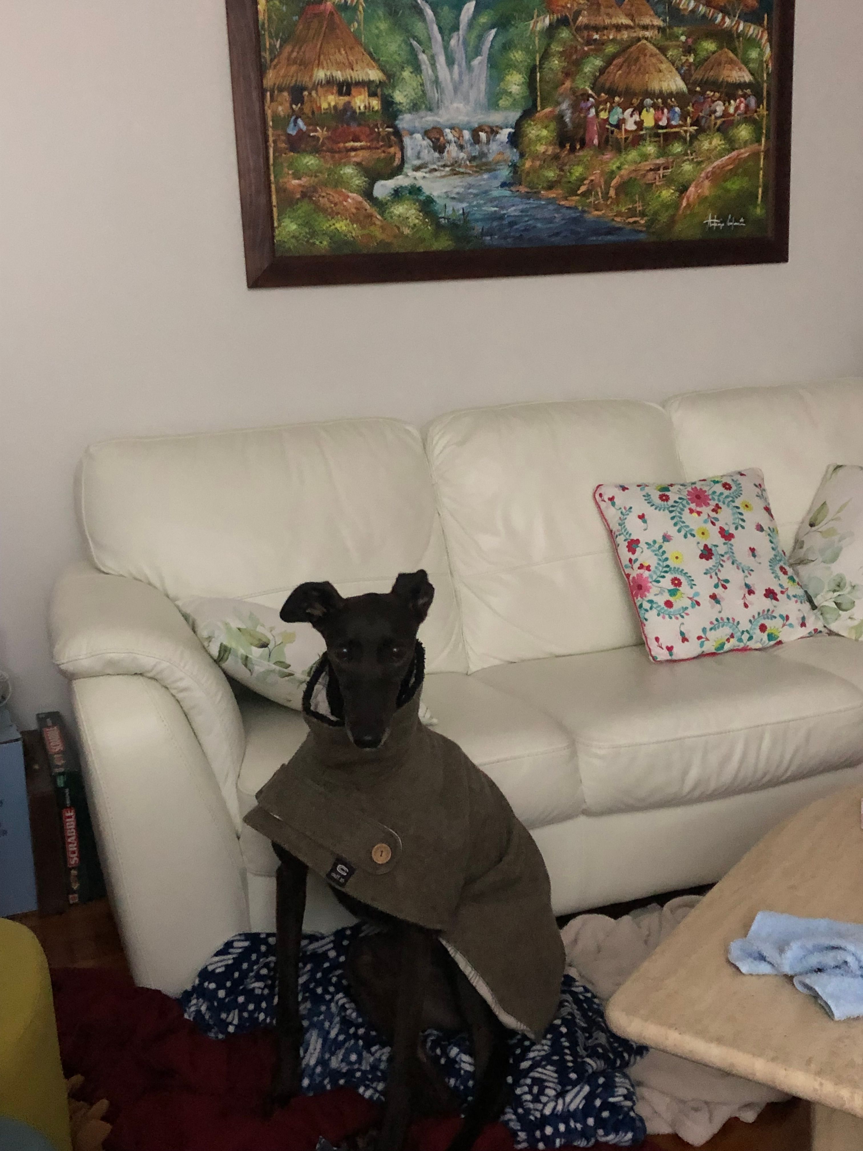 image-6