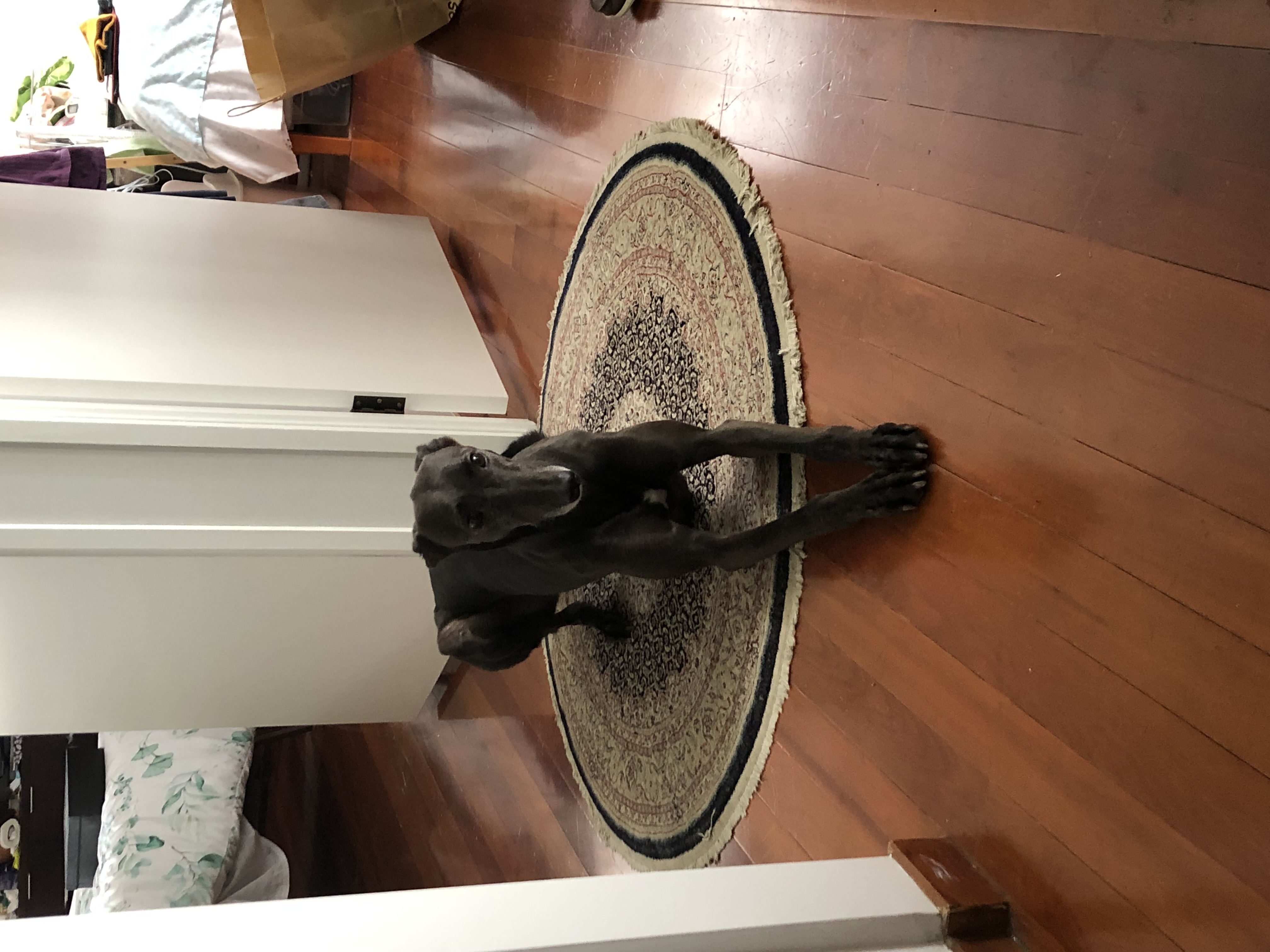 image-7