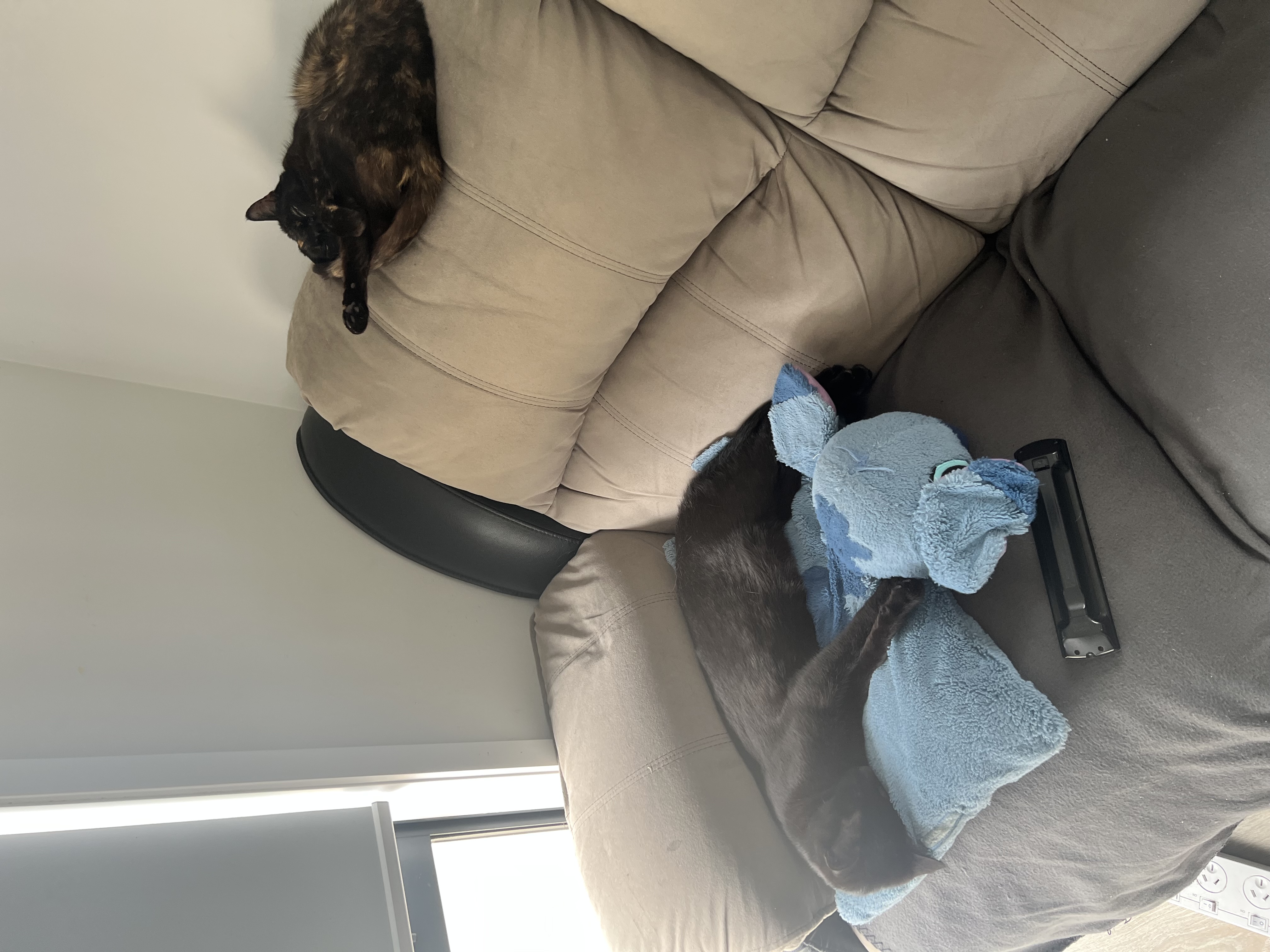 image-1