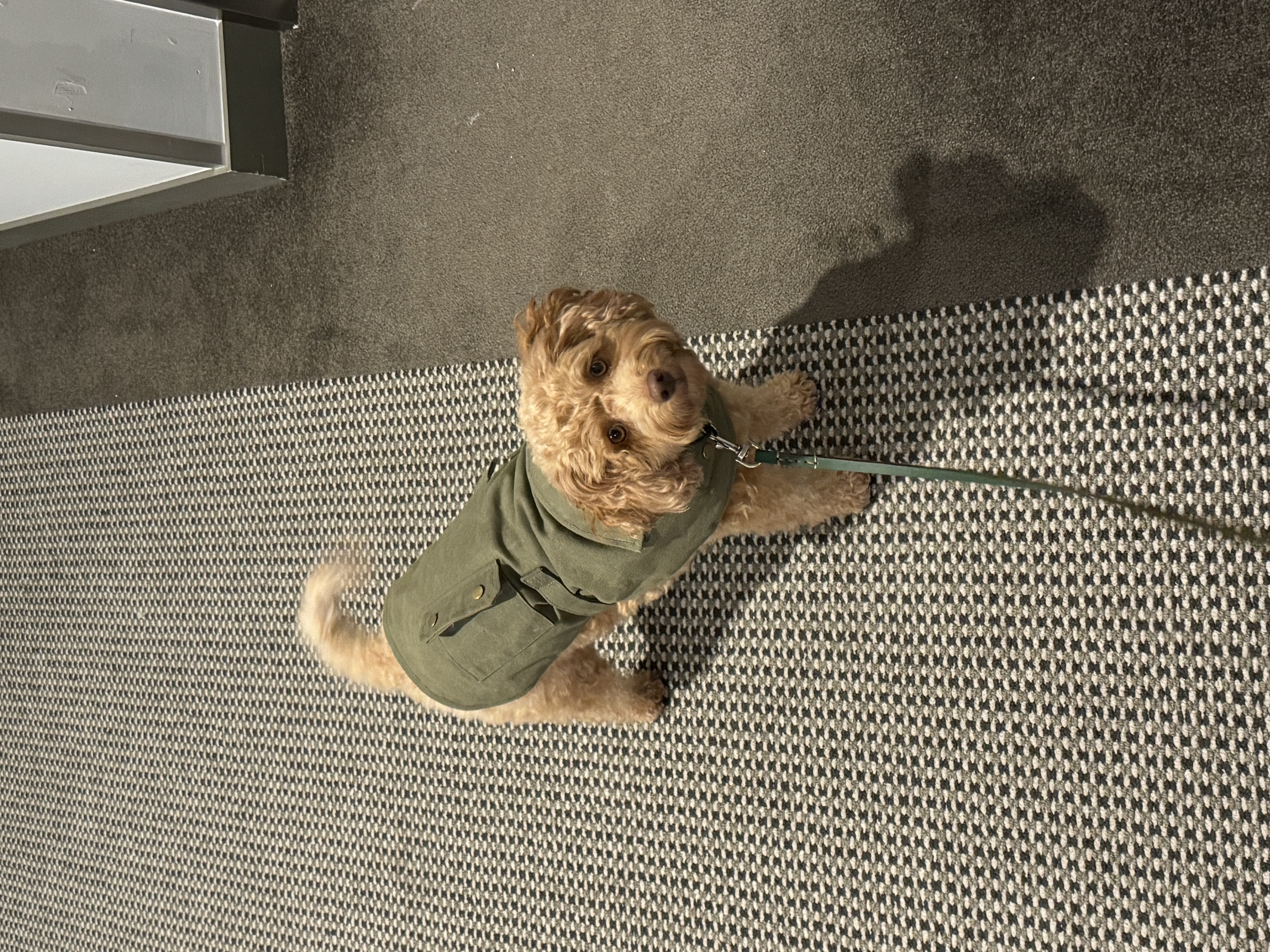 image-7