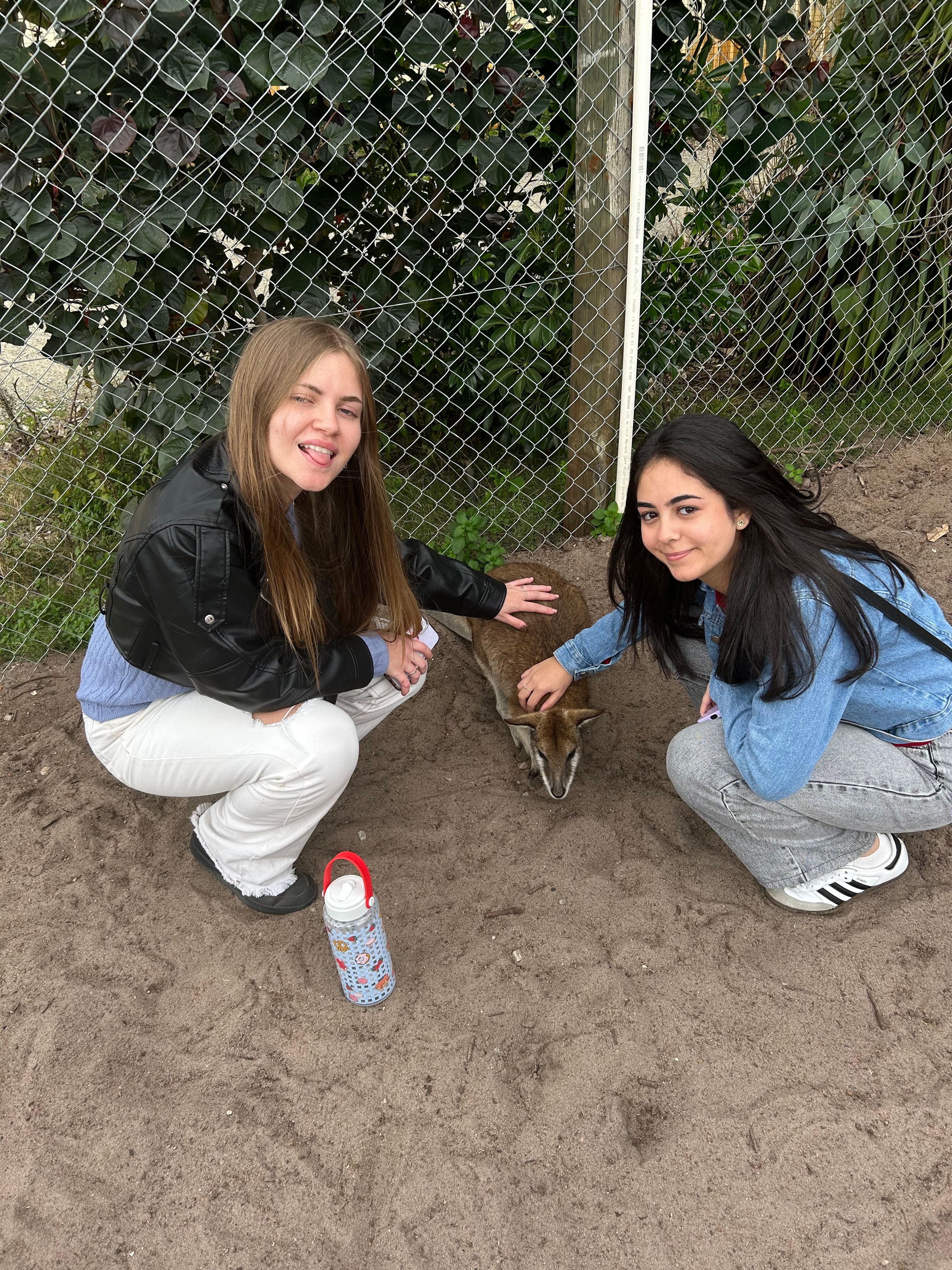 image-6