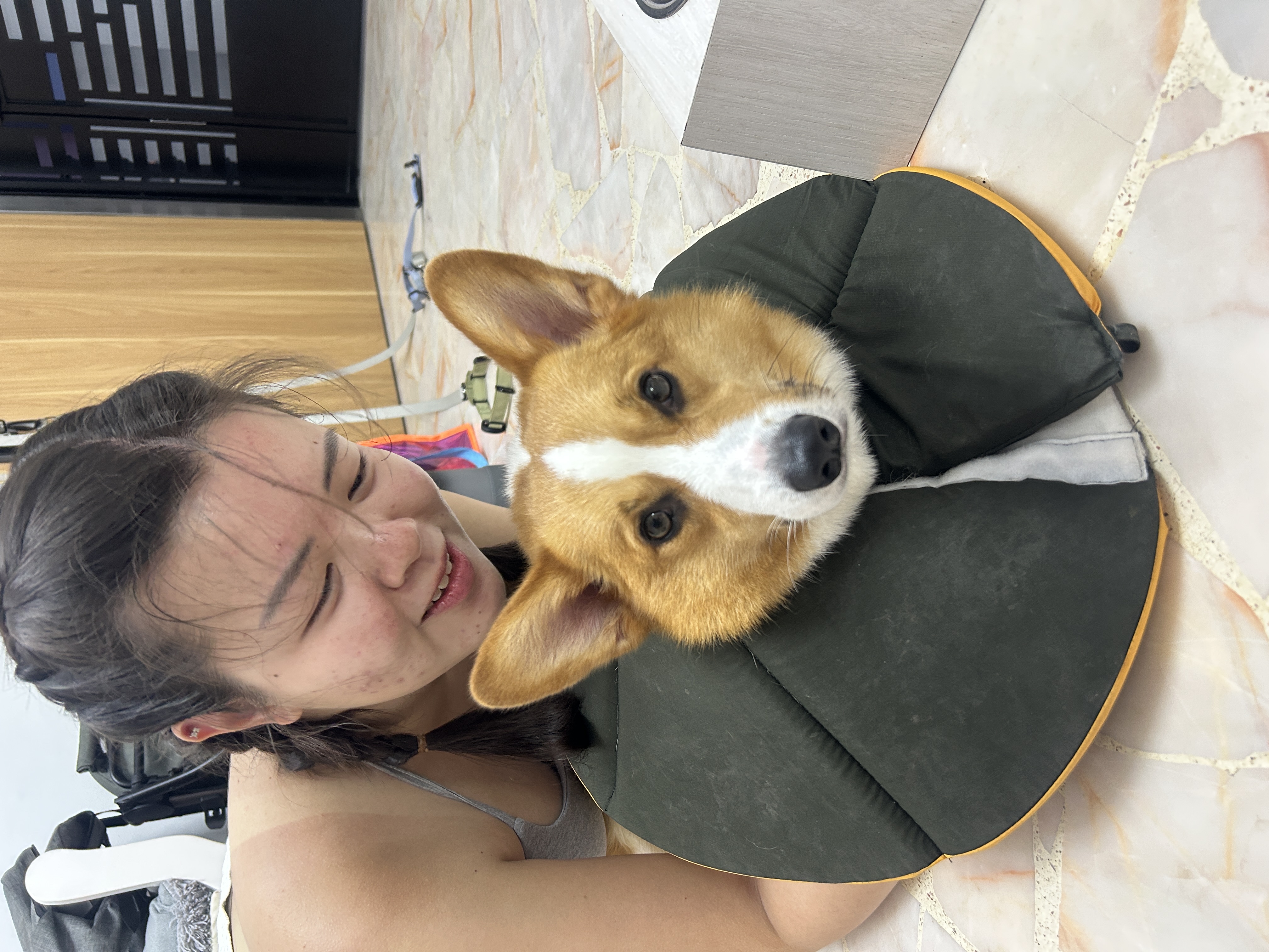 image-11