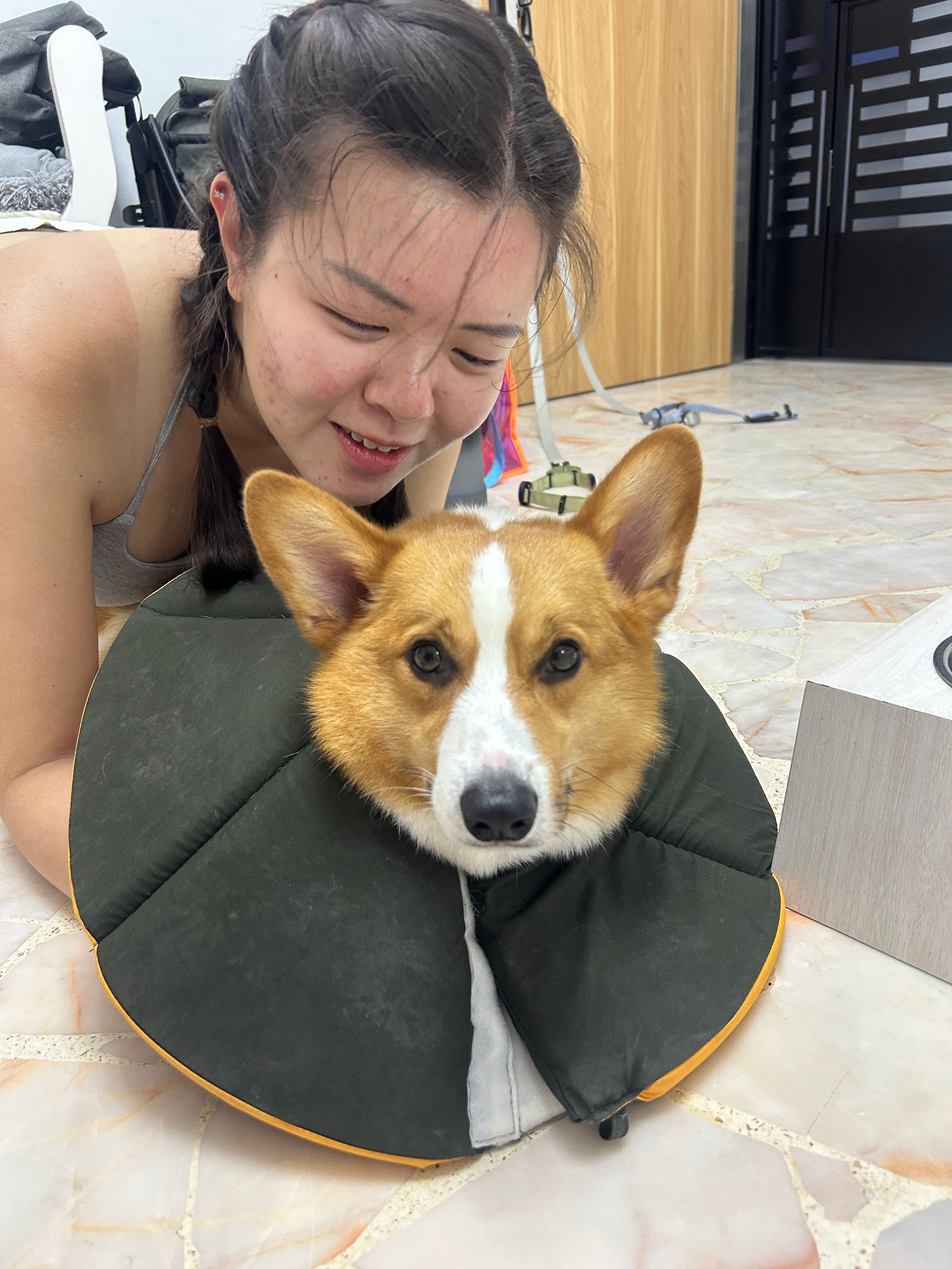 image-11
