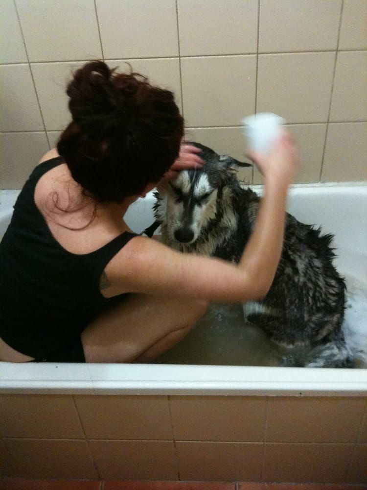 image-7