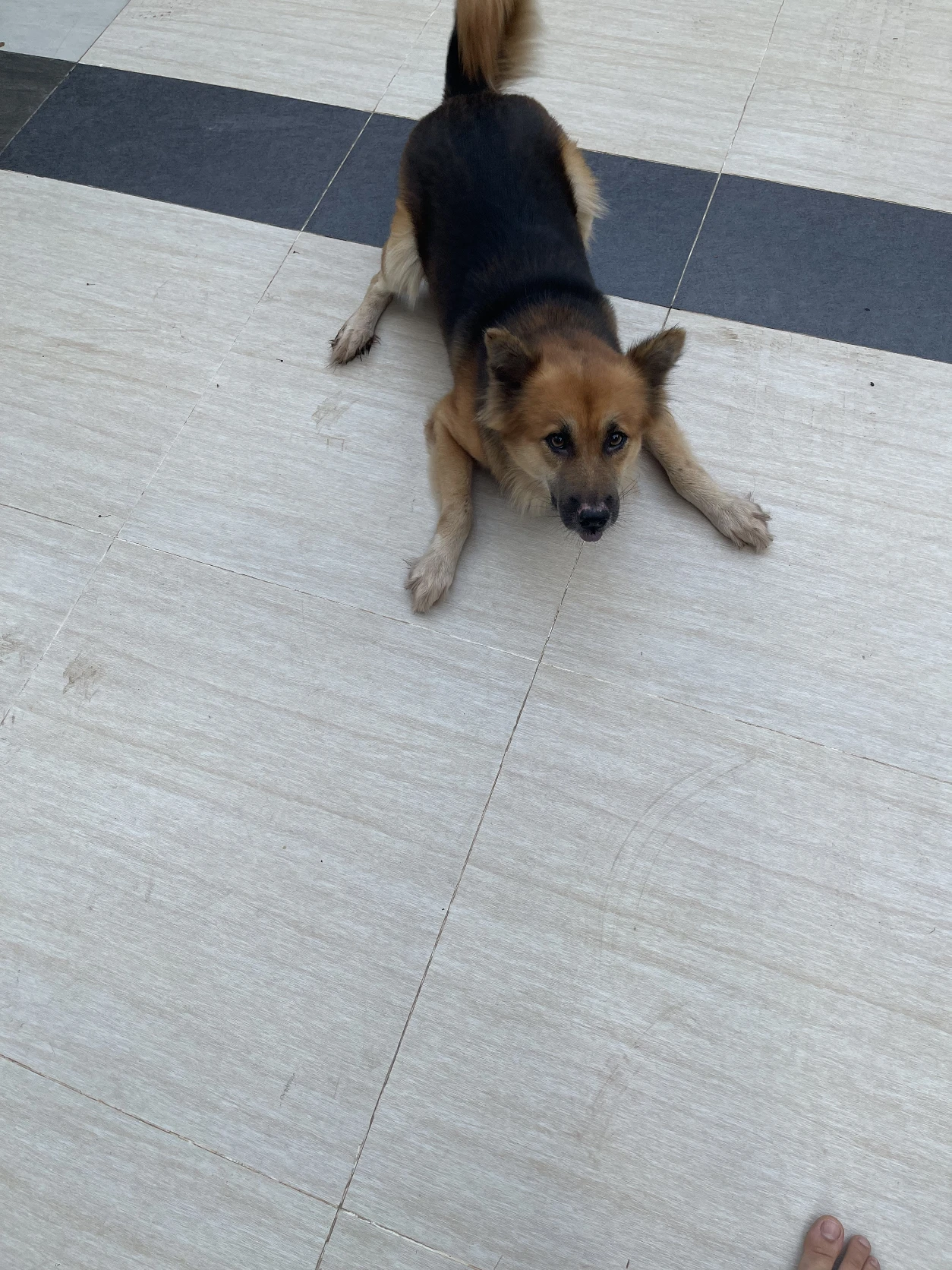 image-7