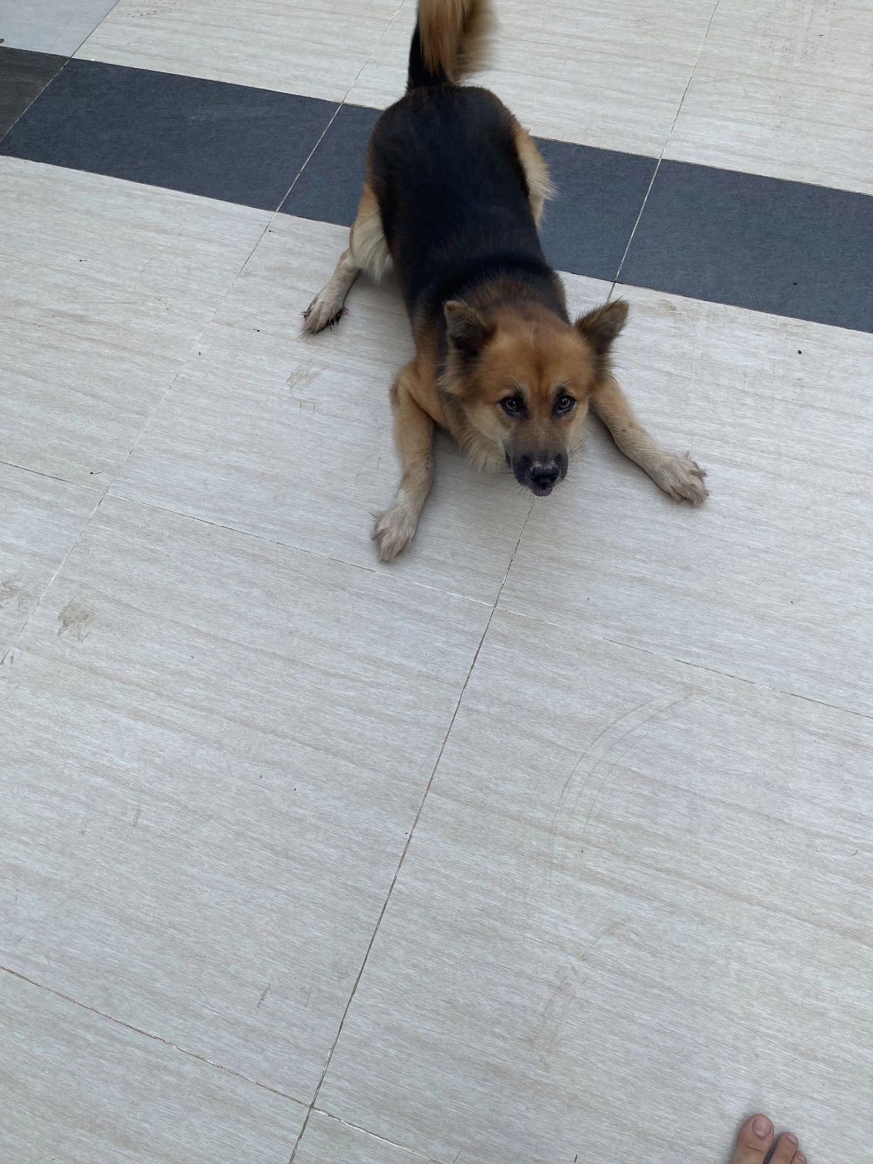 image-7