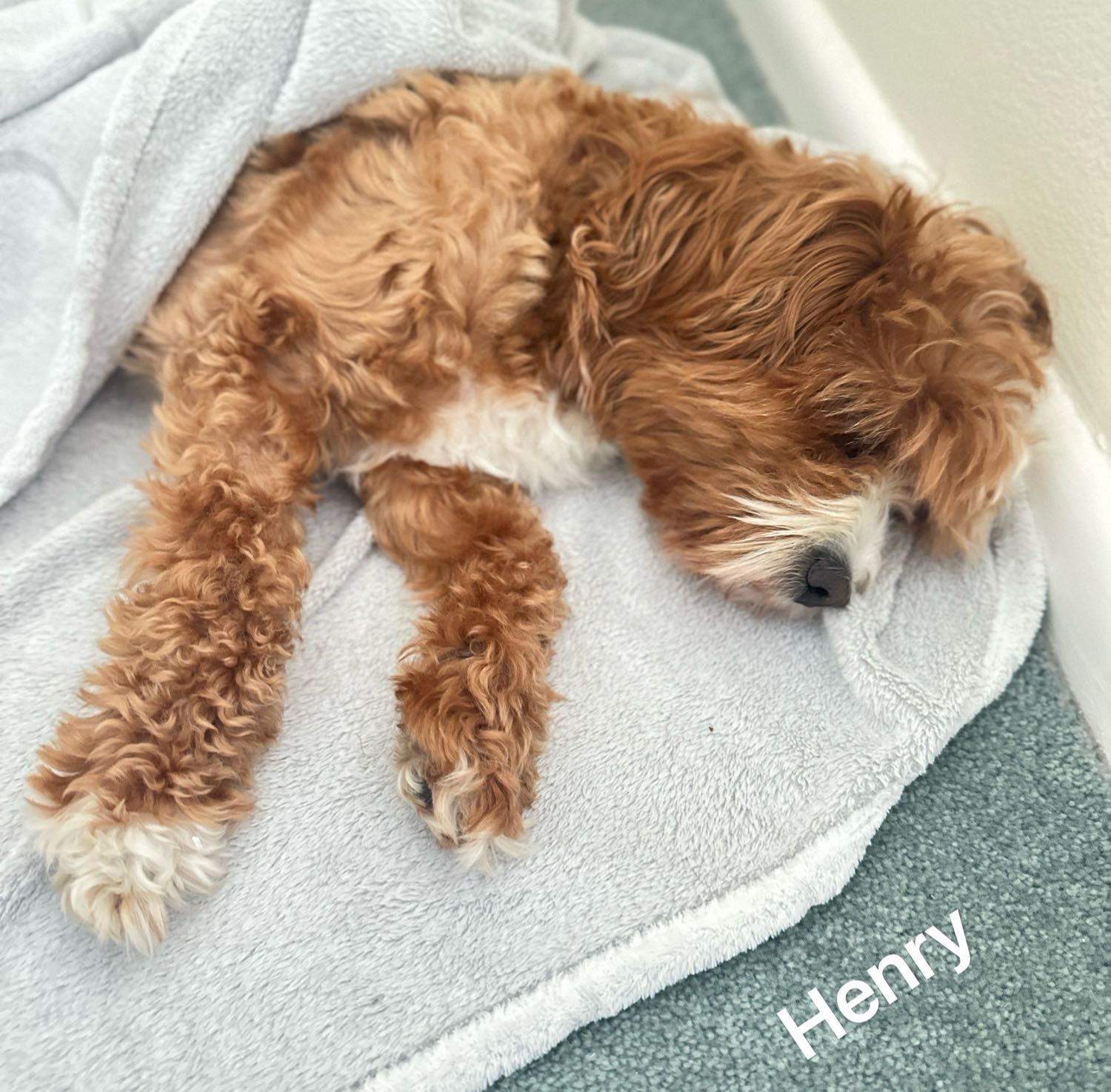 image-10