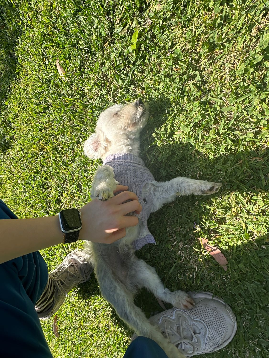 image-6