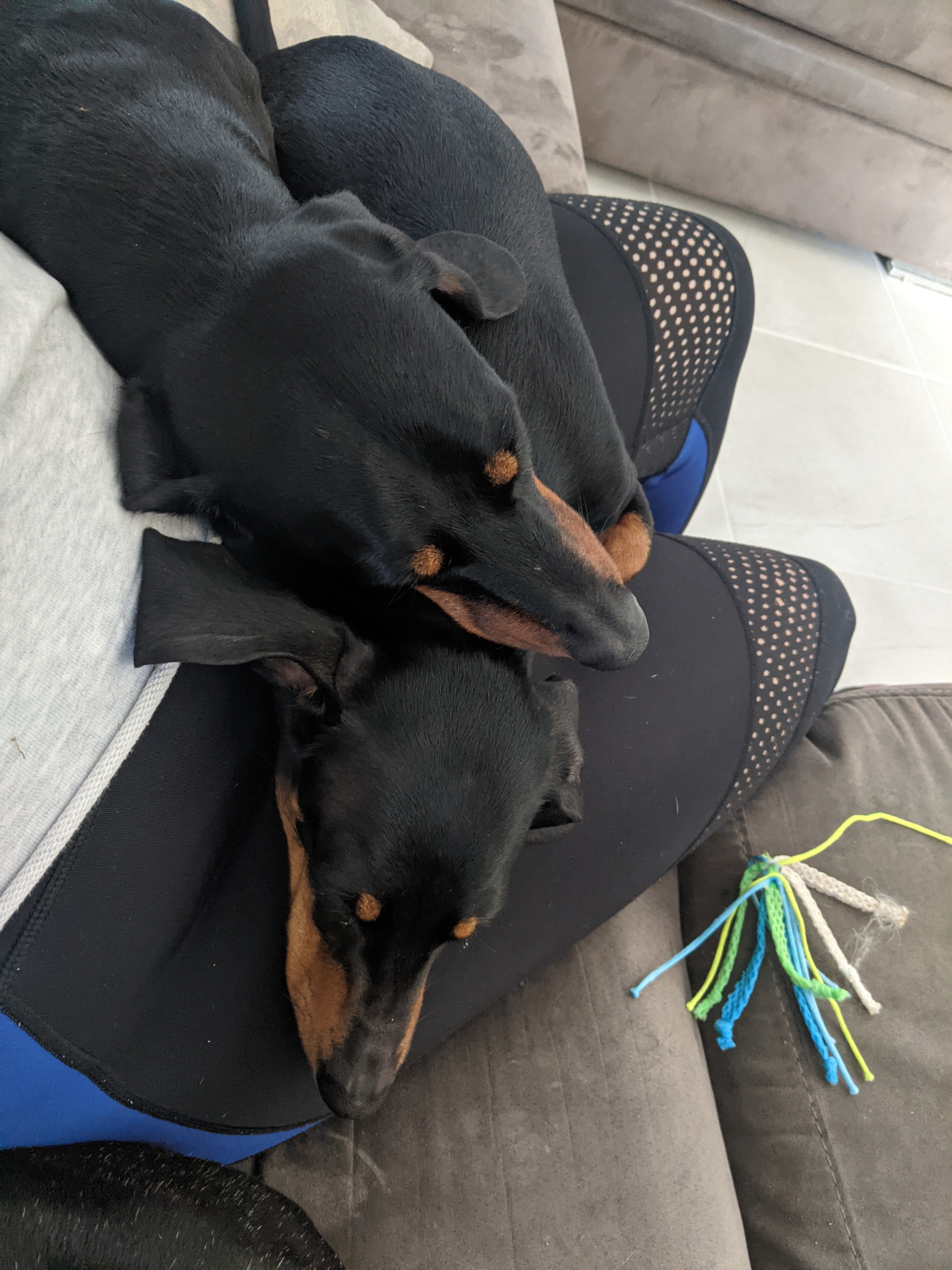 image-6