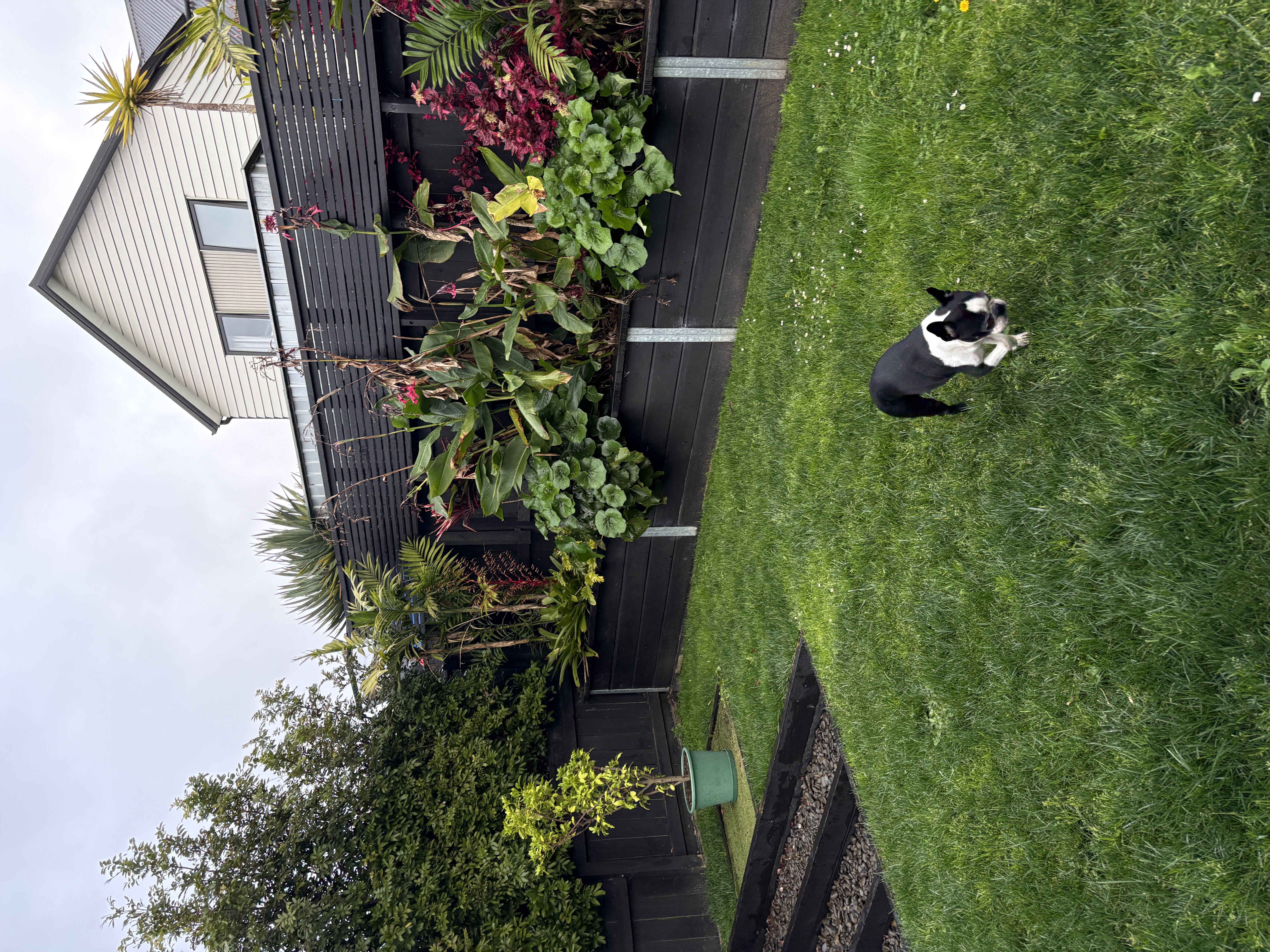image-13