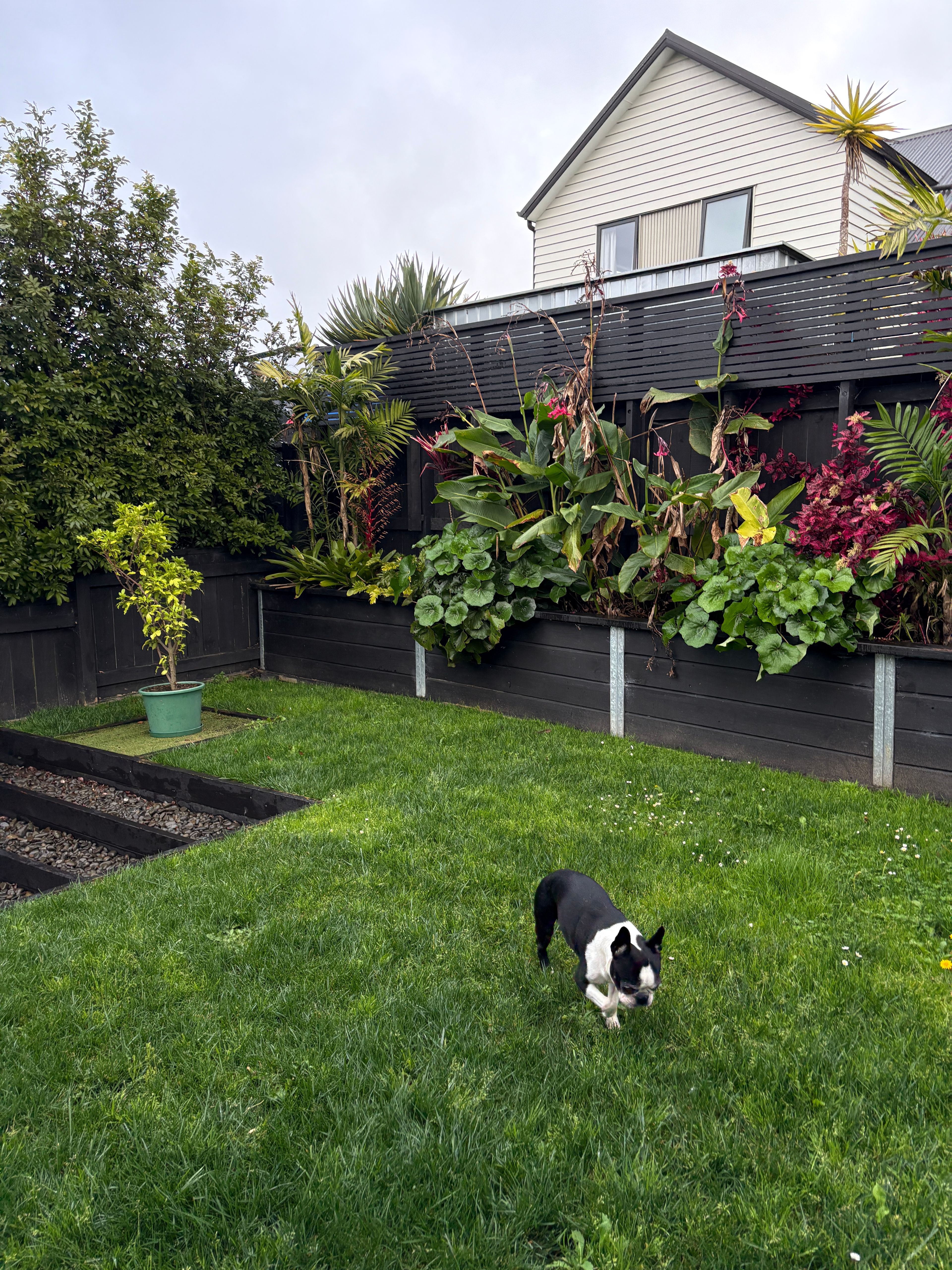 image-13