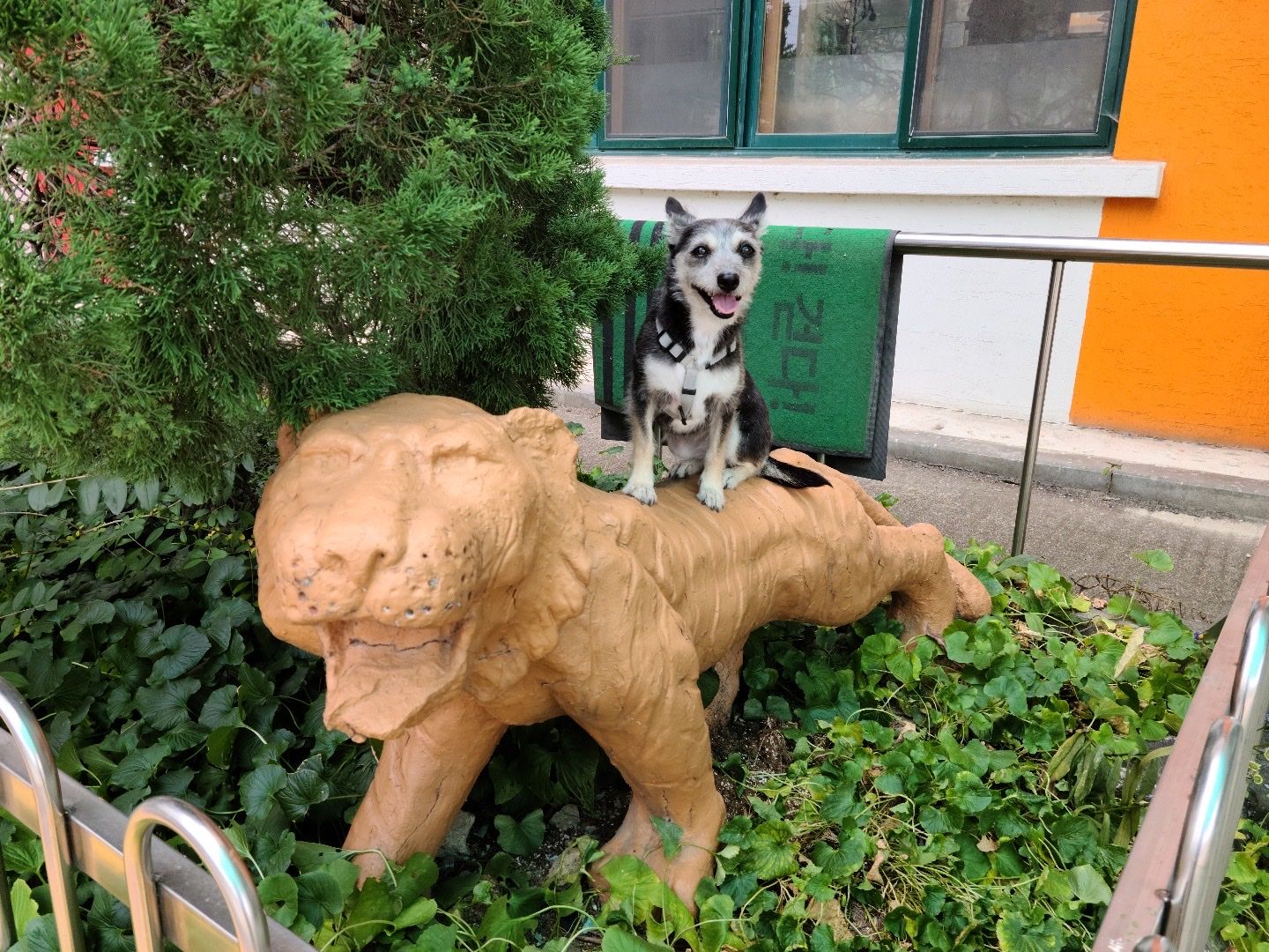 image-11