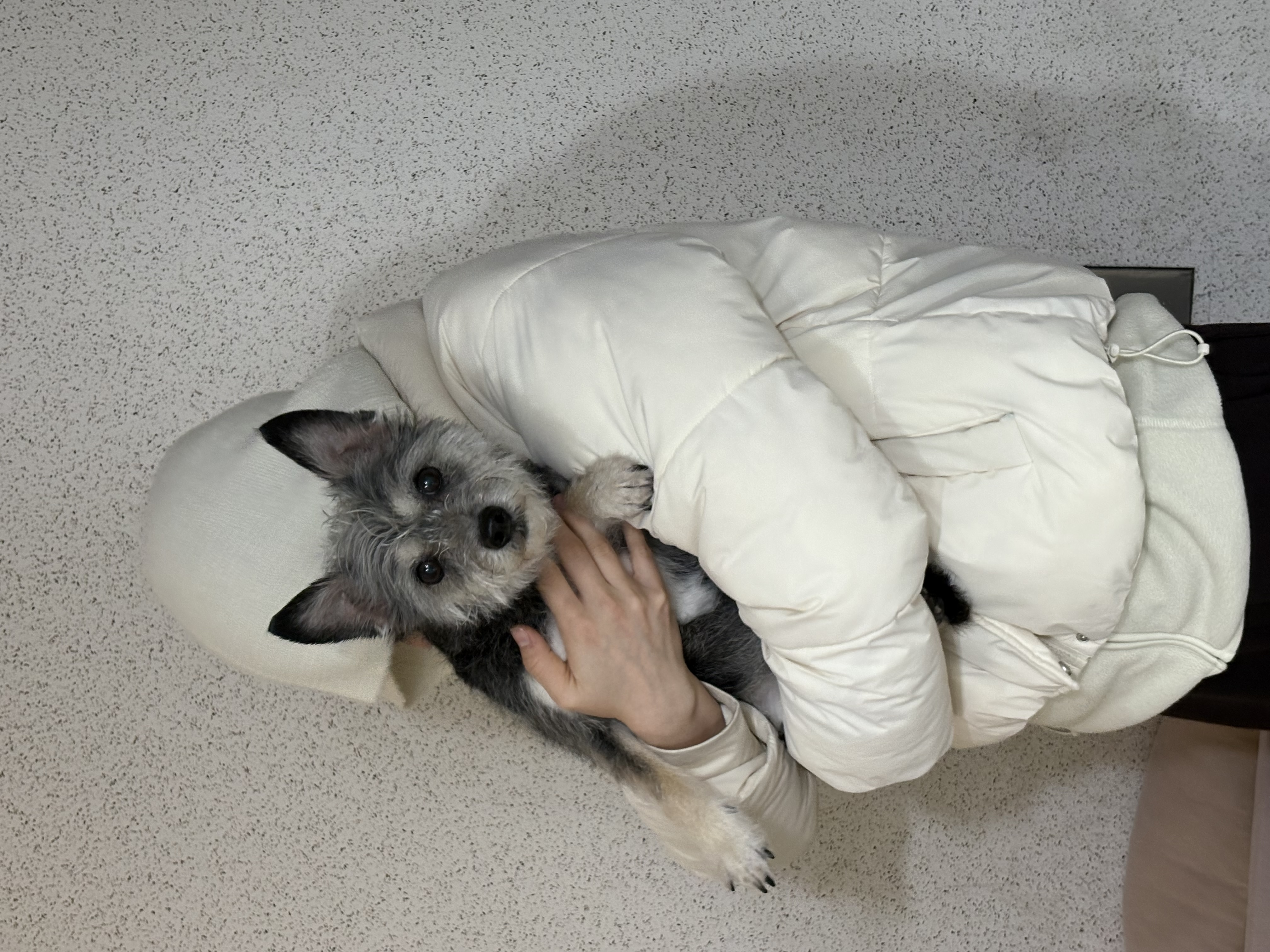 image-7