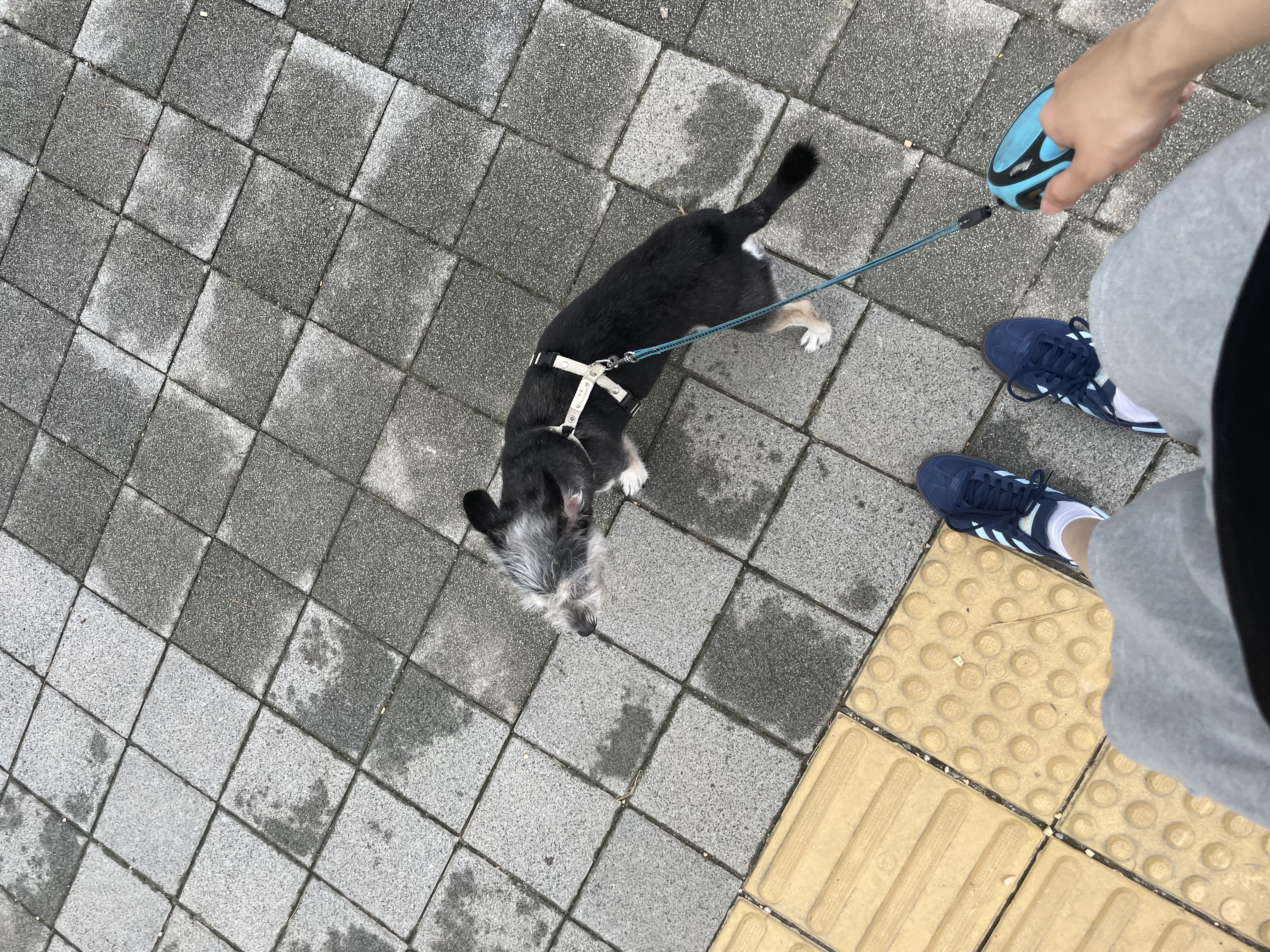 image-12
