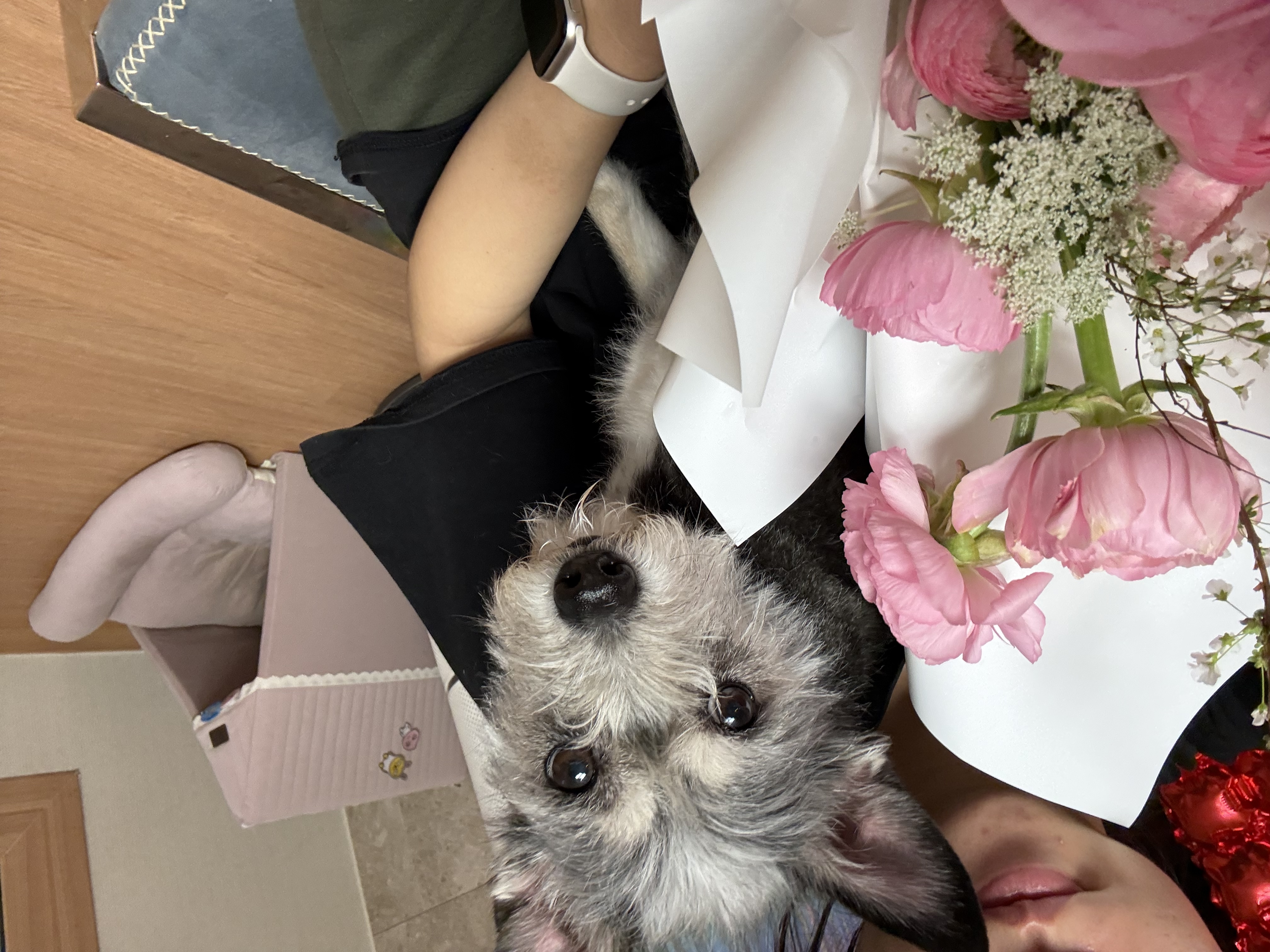 image-6