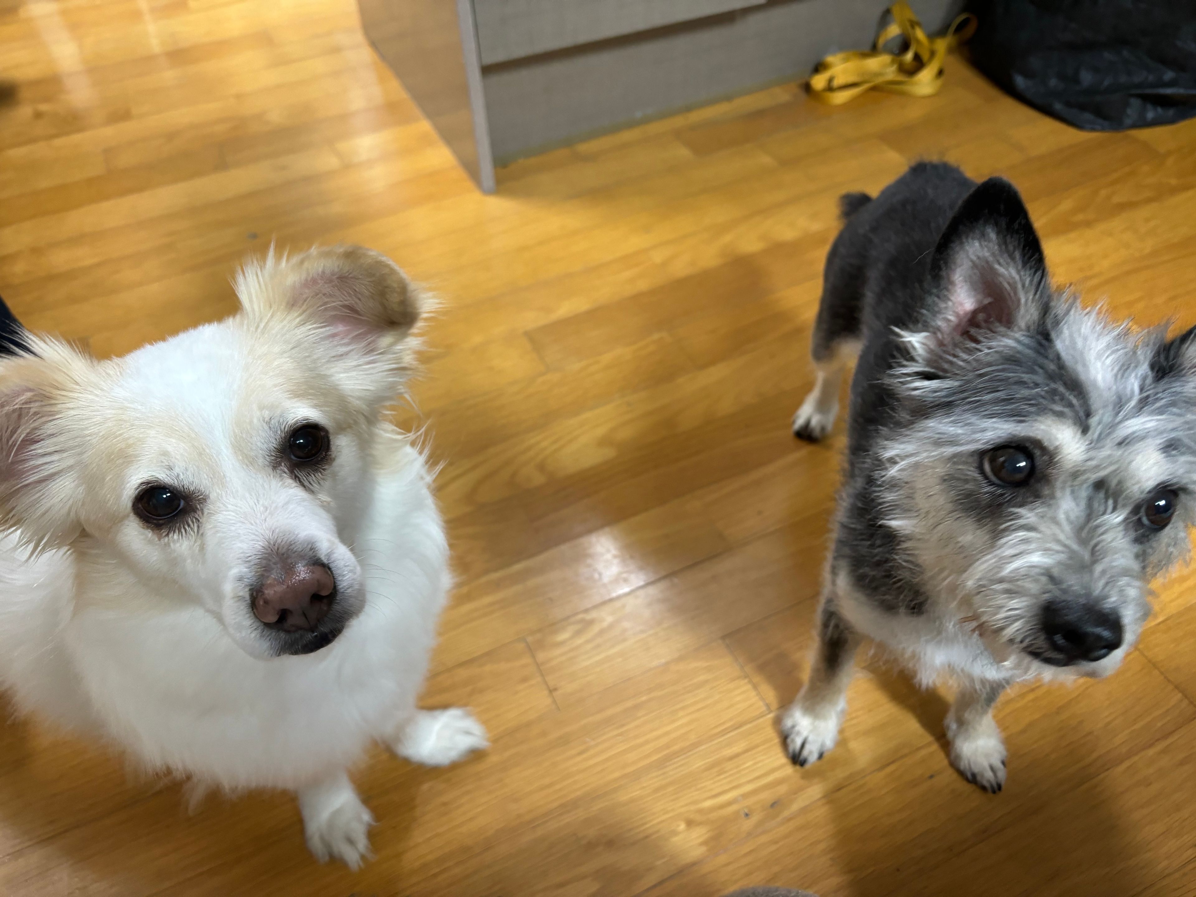 image-8
