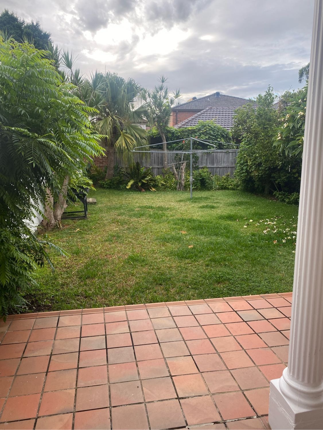 image-7