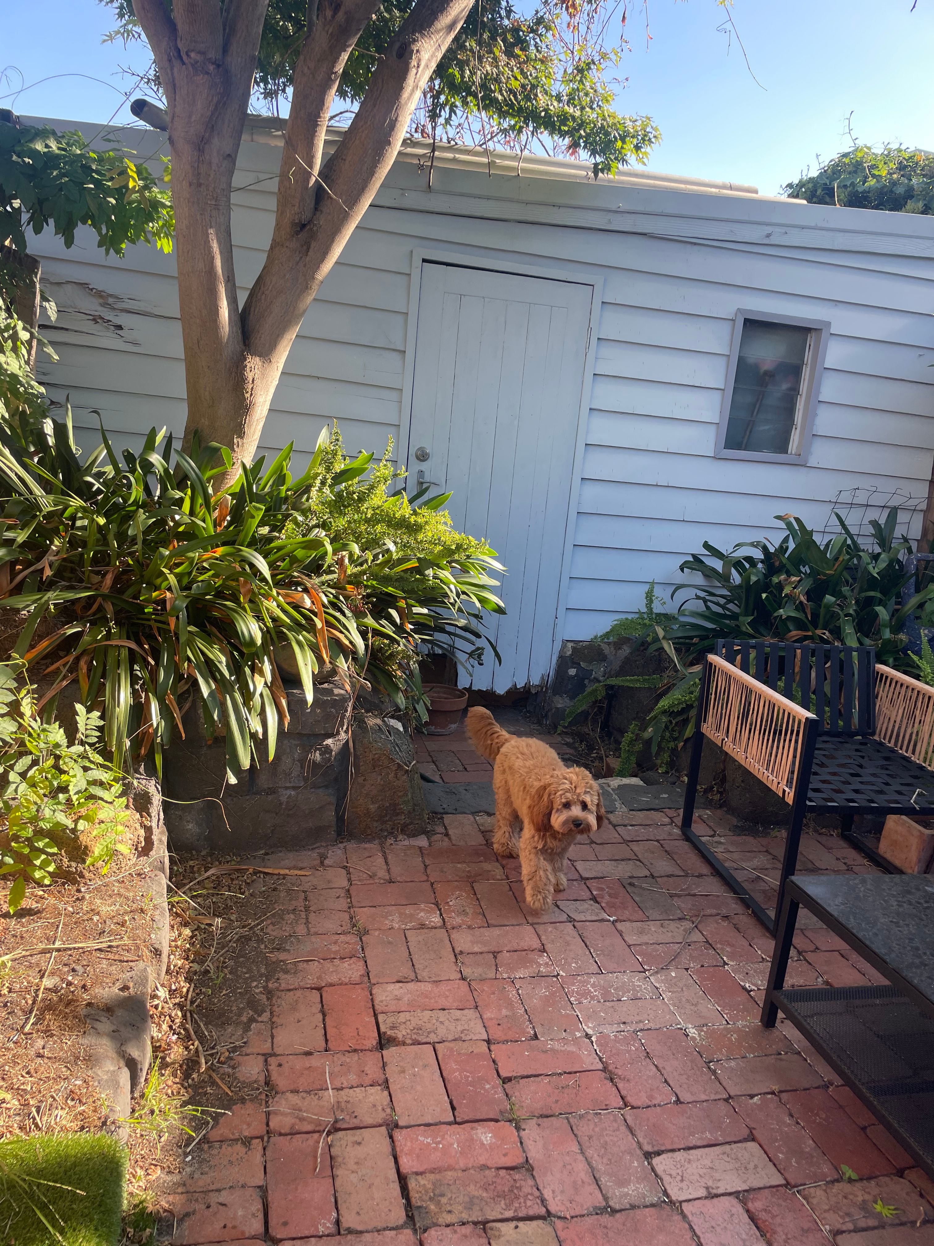 image-17