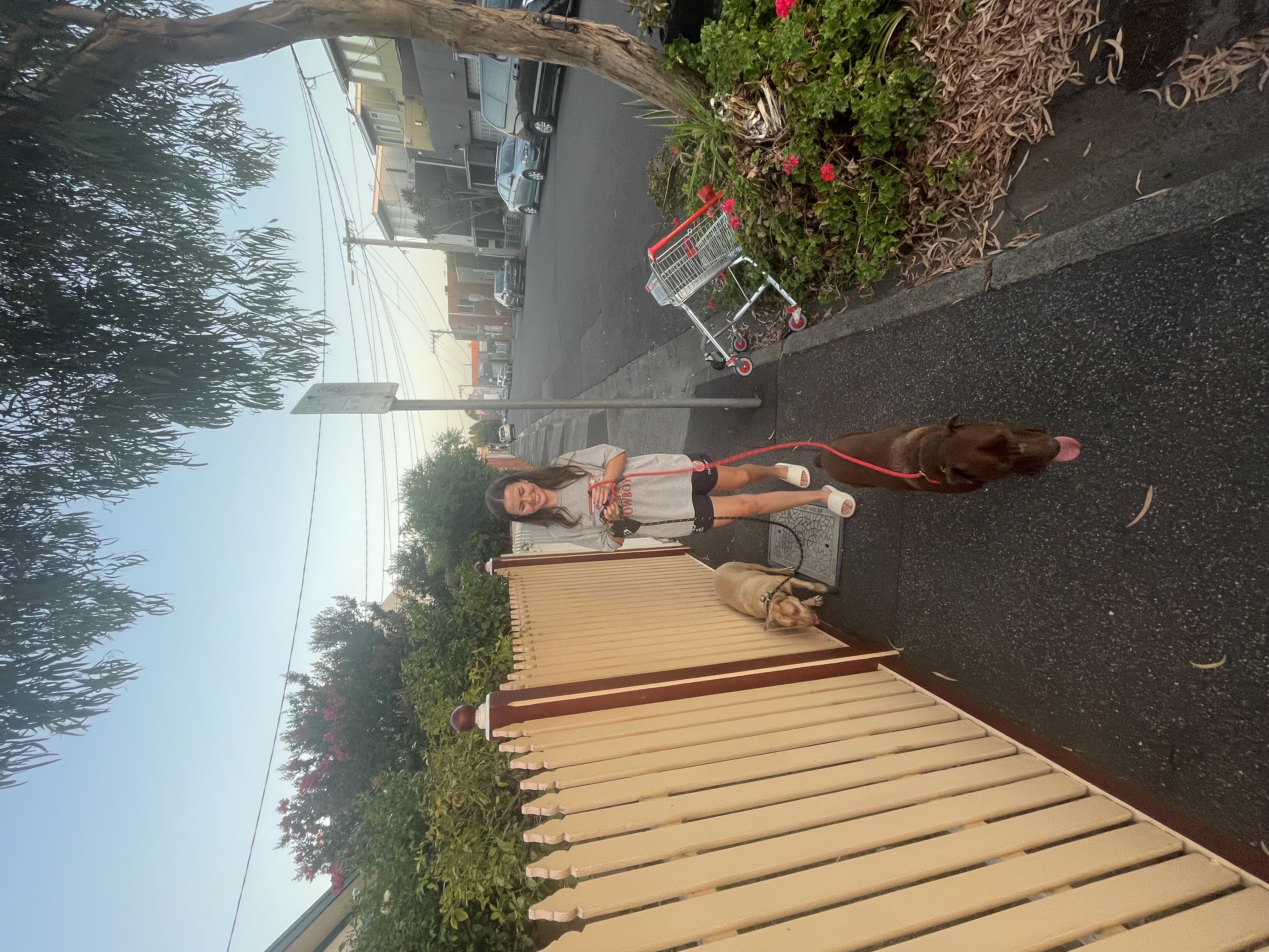 image-16