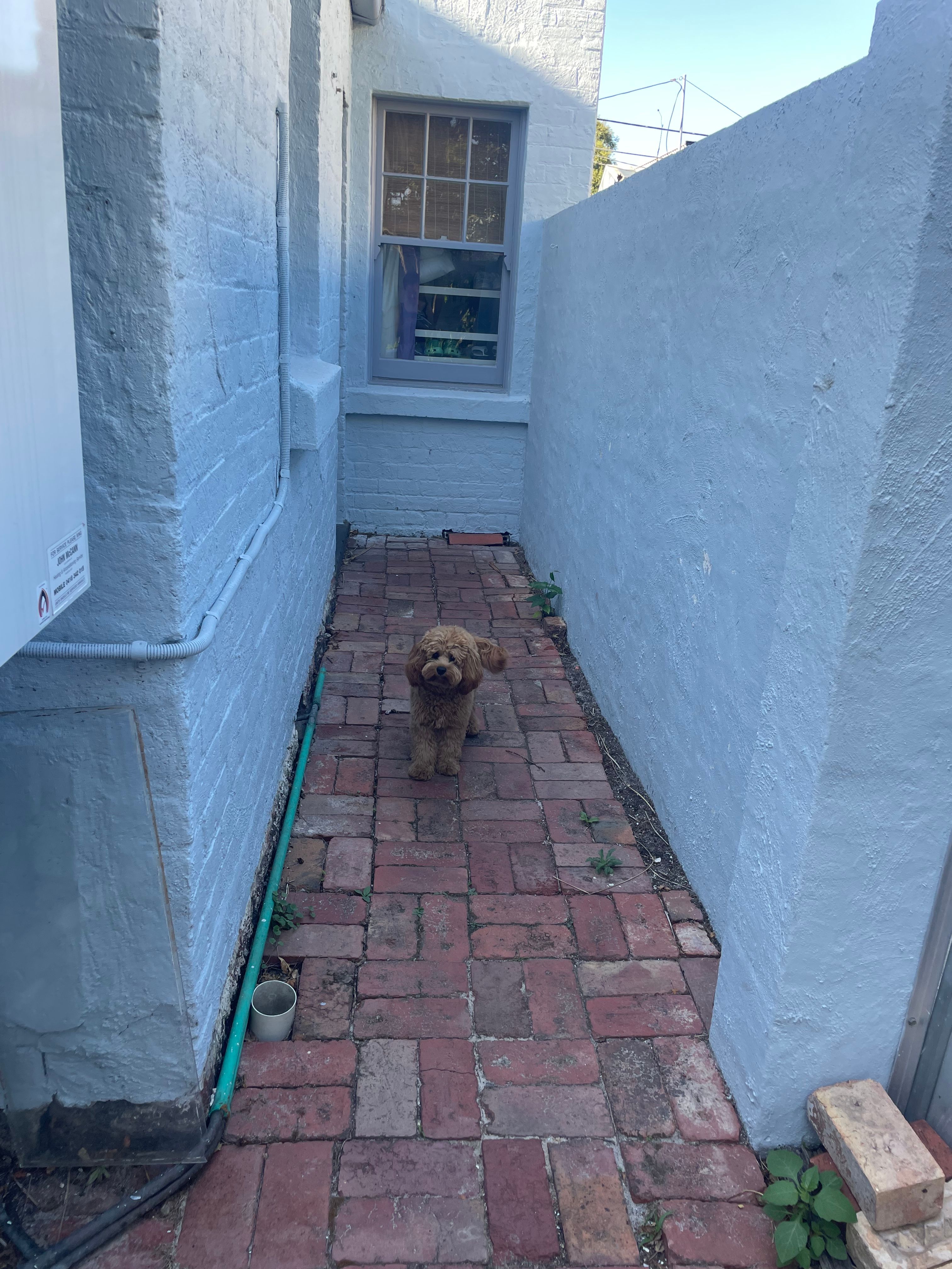 image-20