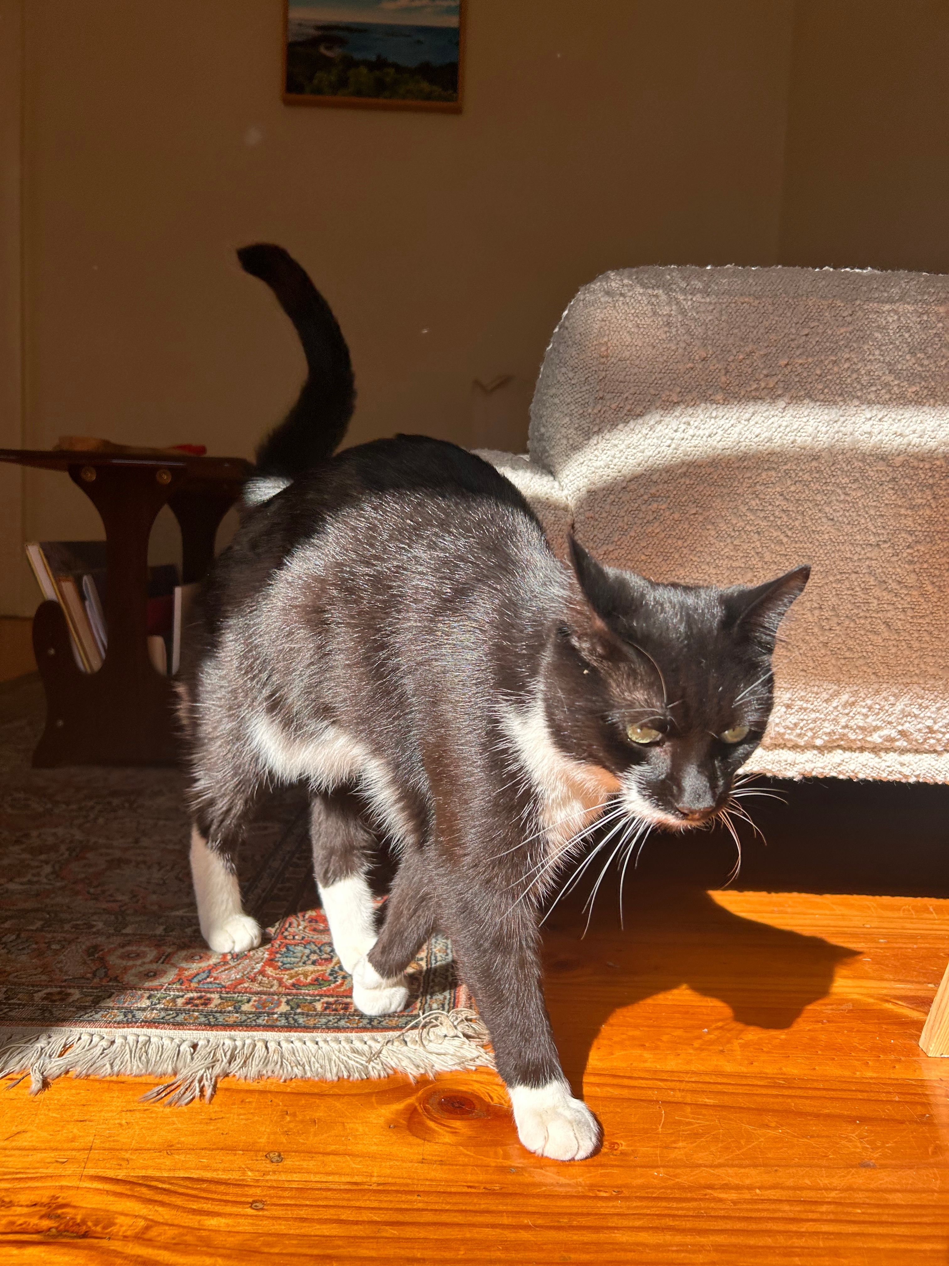 image-18