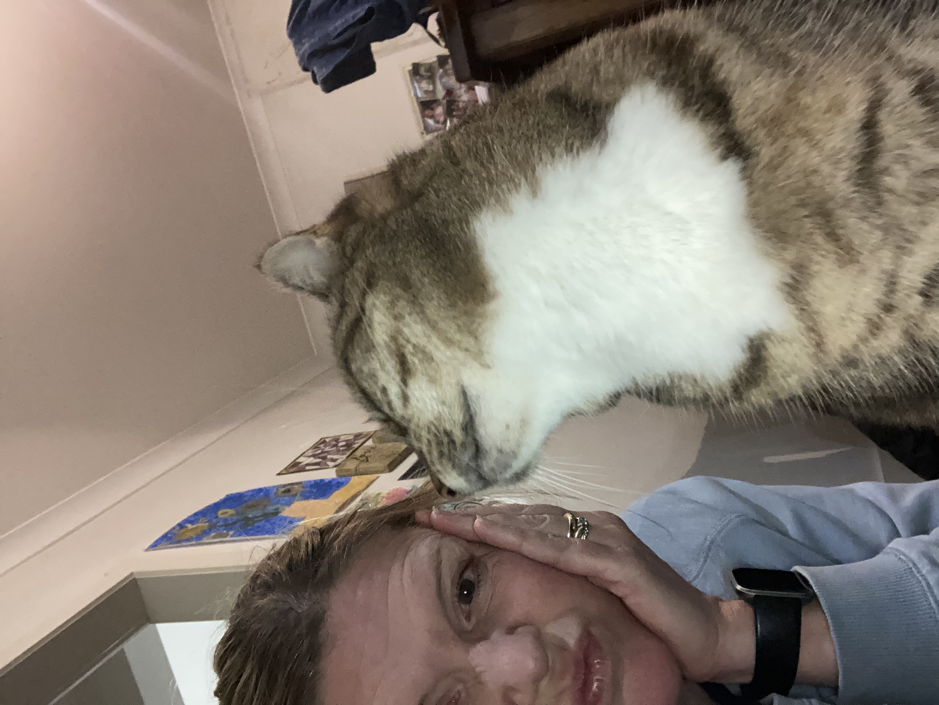image-8