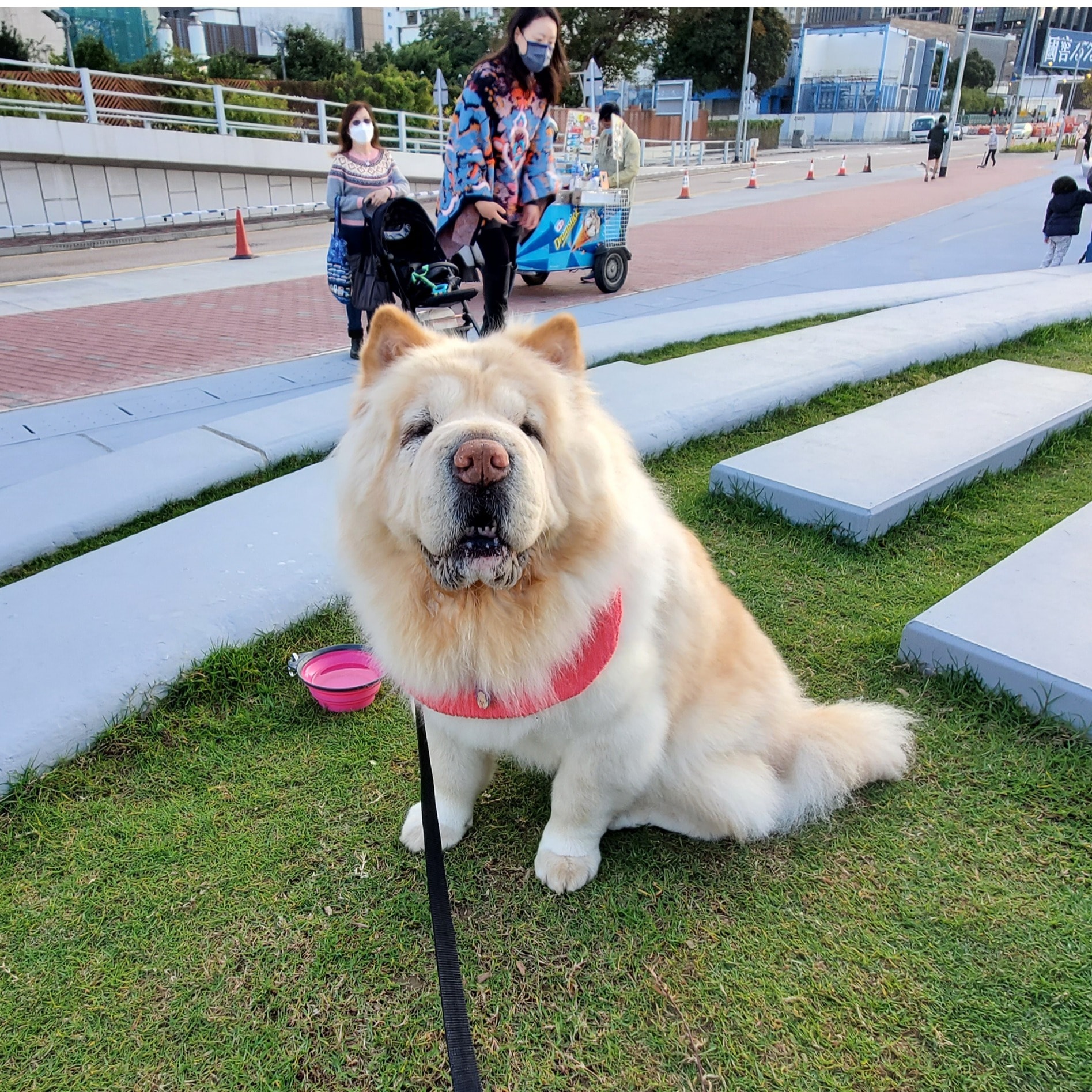 Lulu
