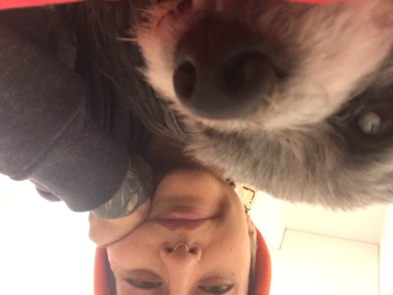 image-4