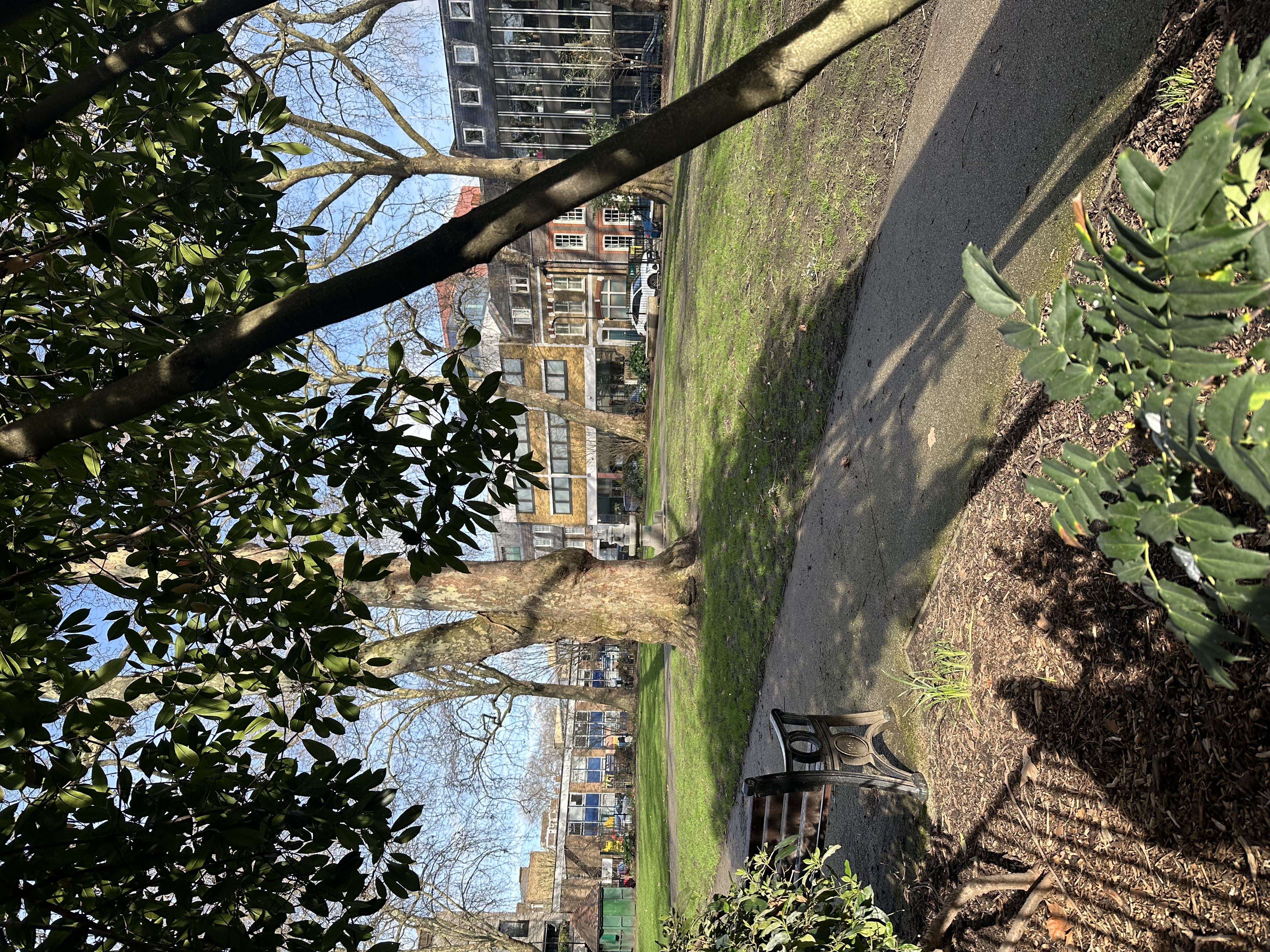 image-14