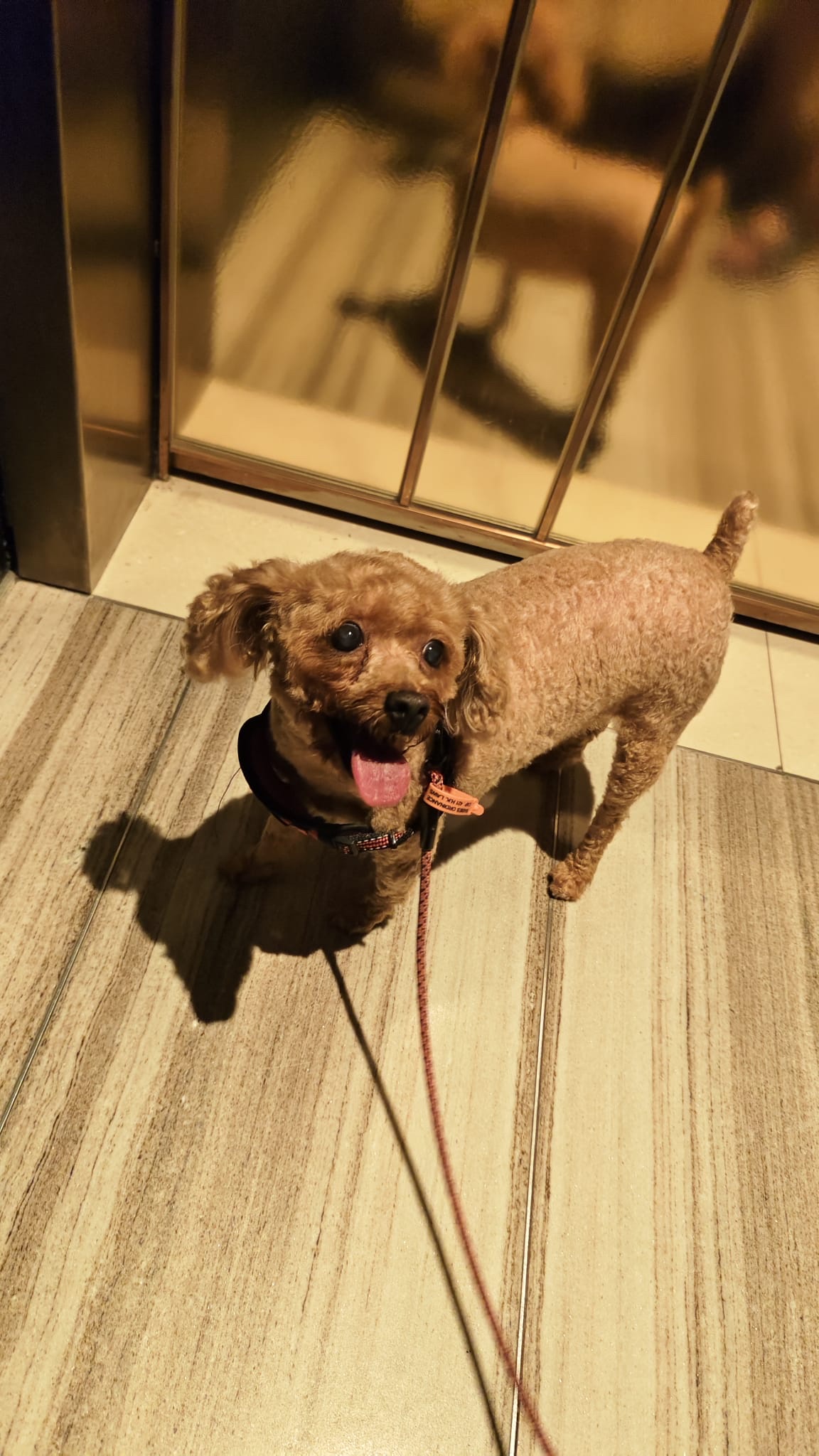 image-9