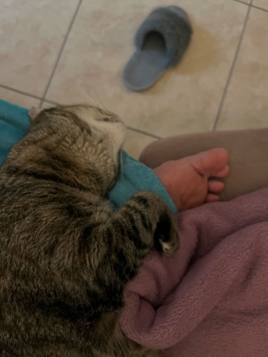 image-9