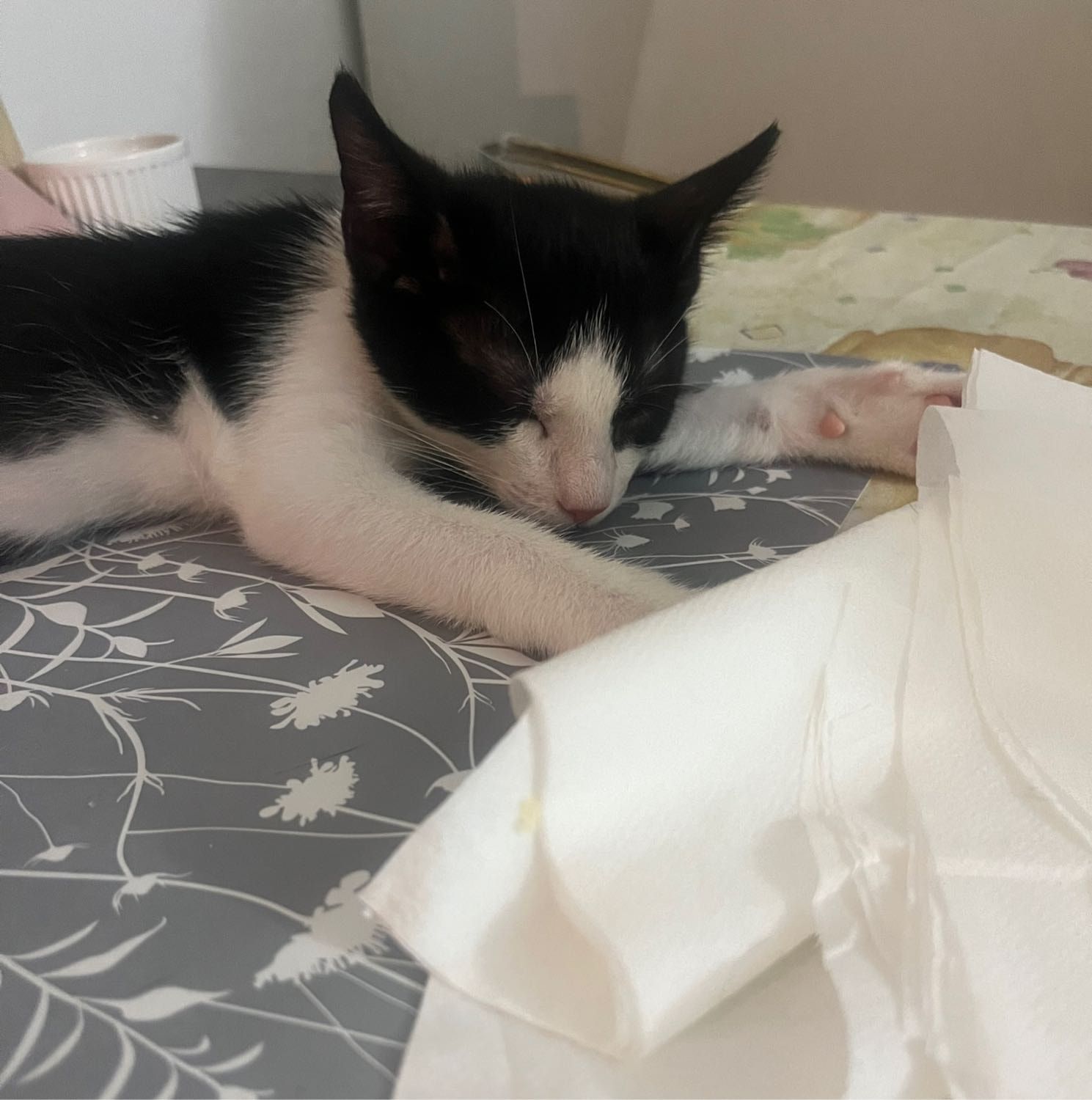 Romeo