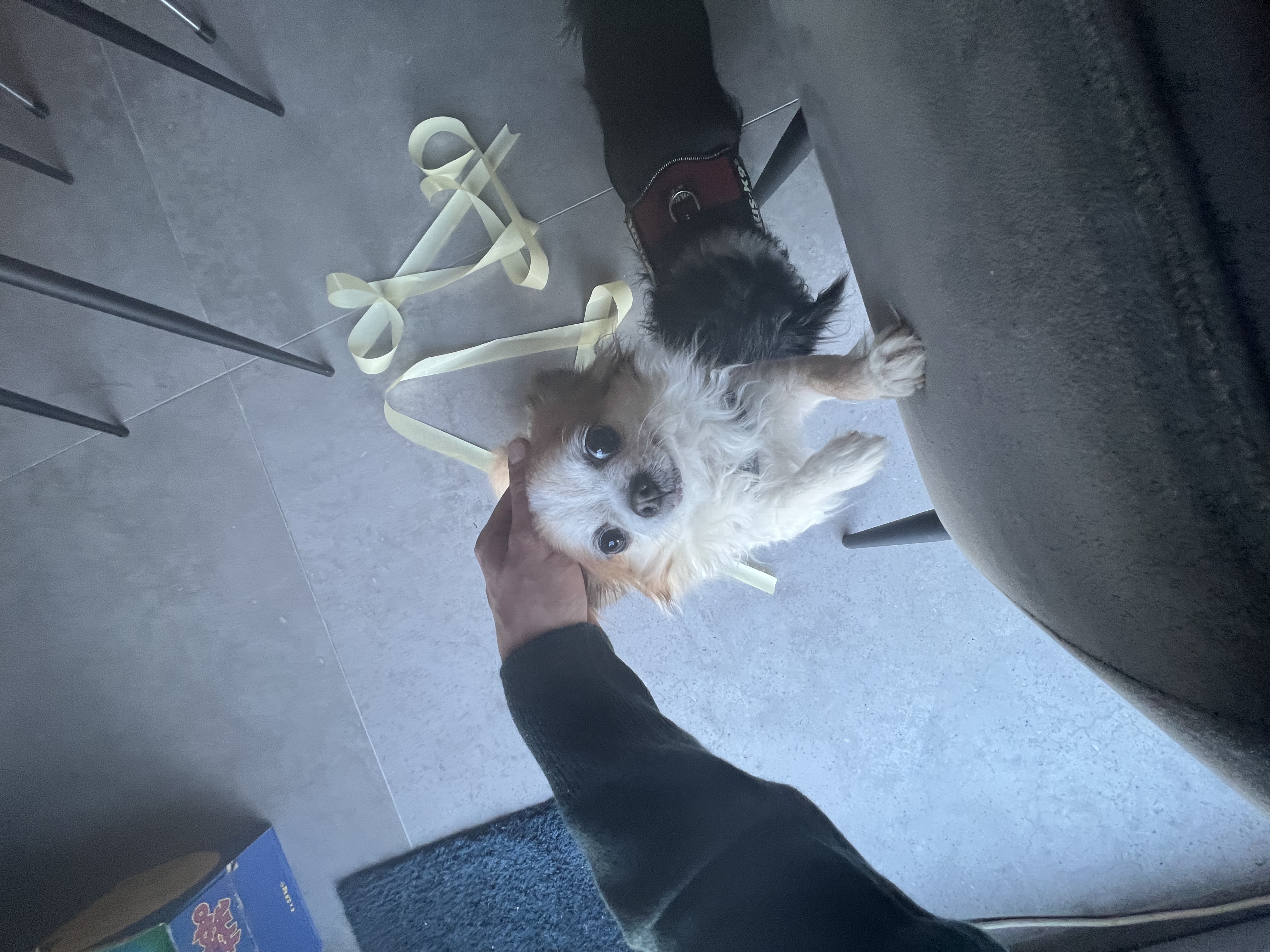 image-8