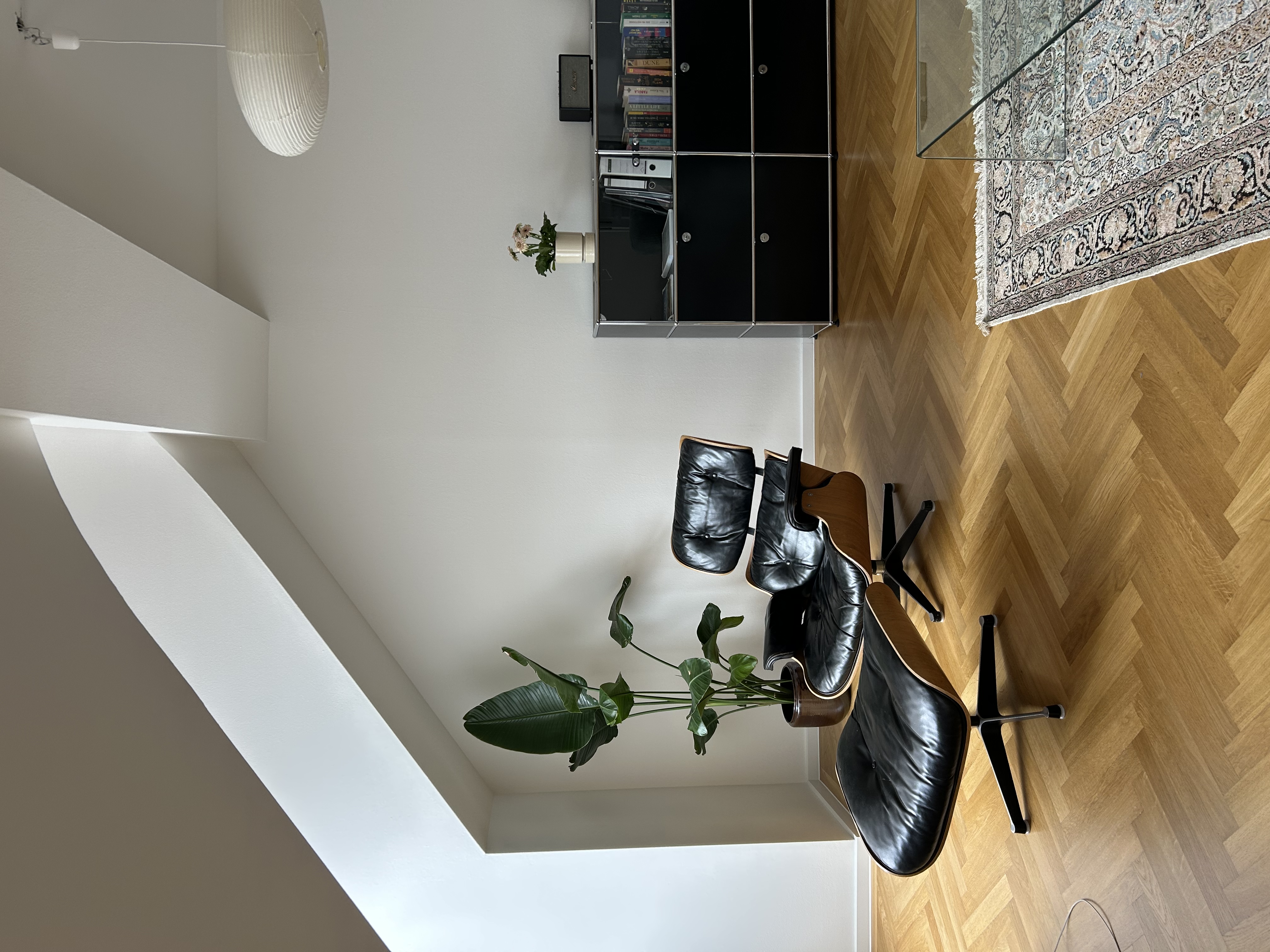 image-19