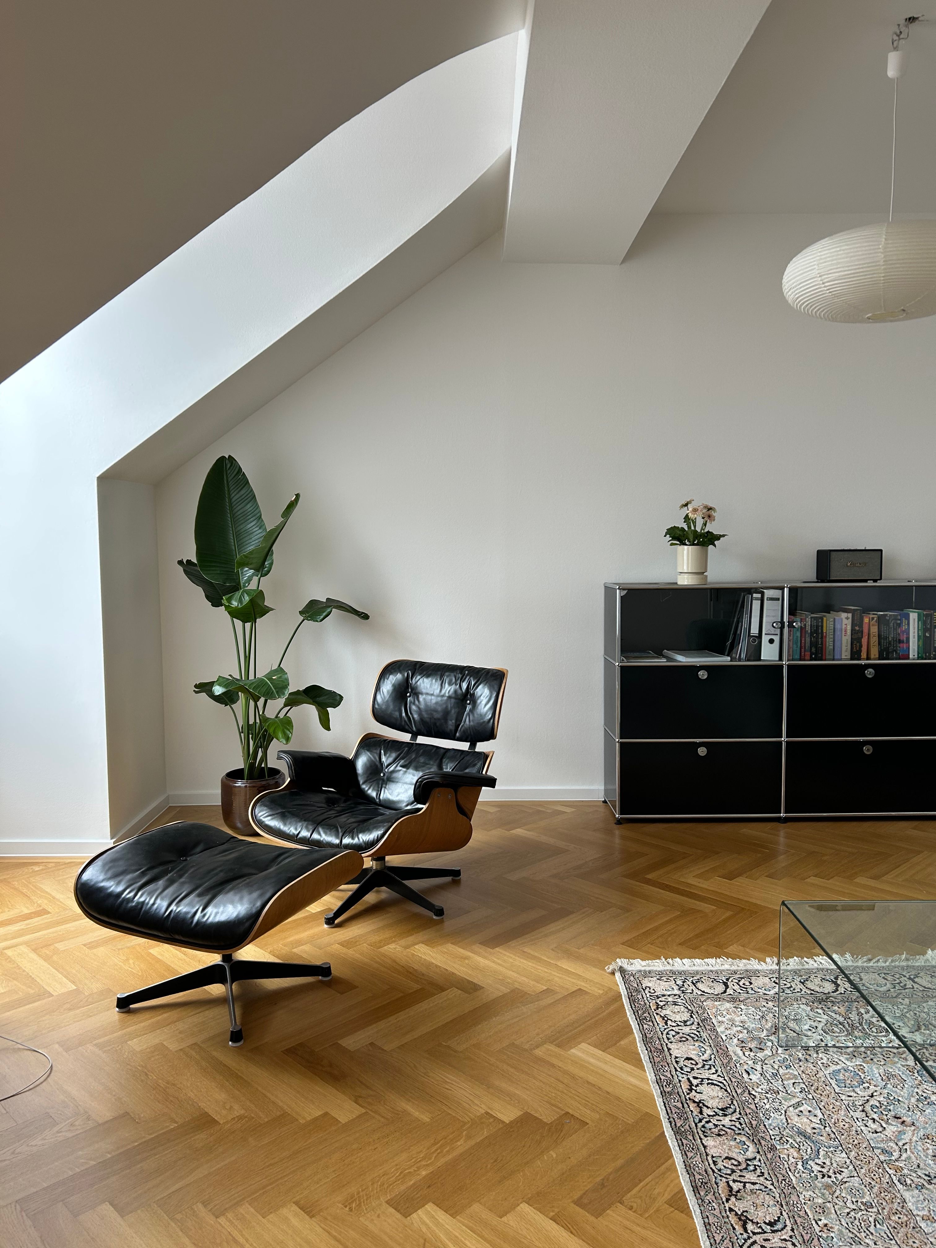 image-19