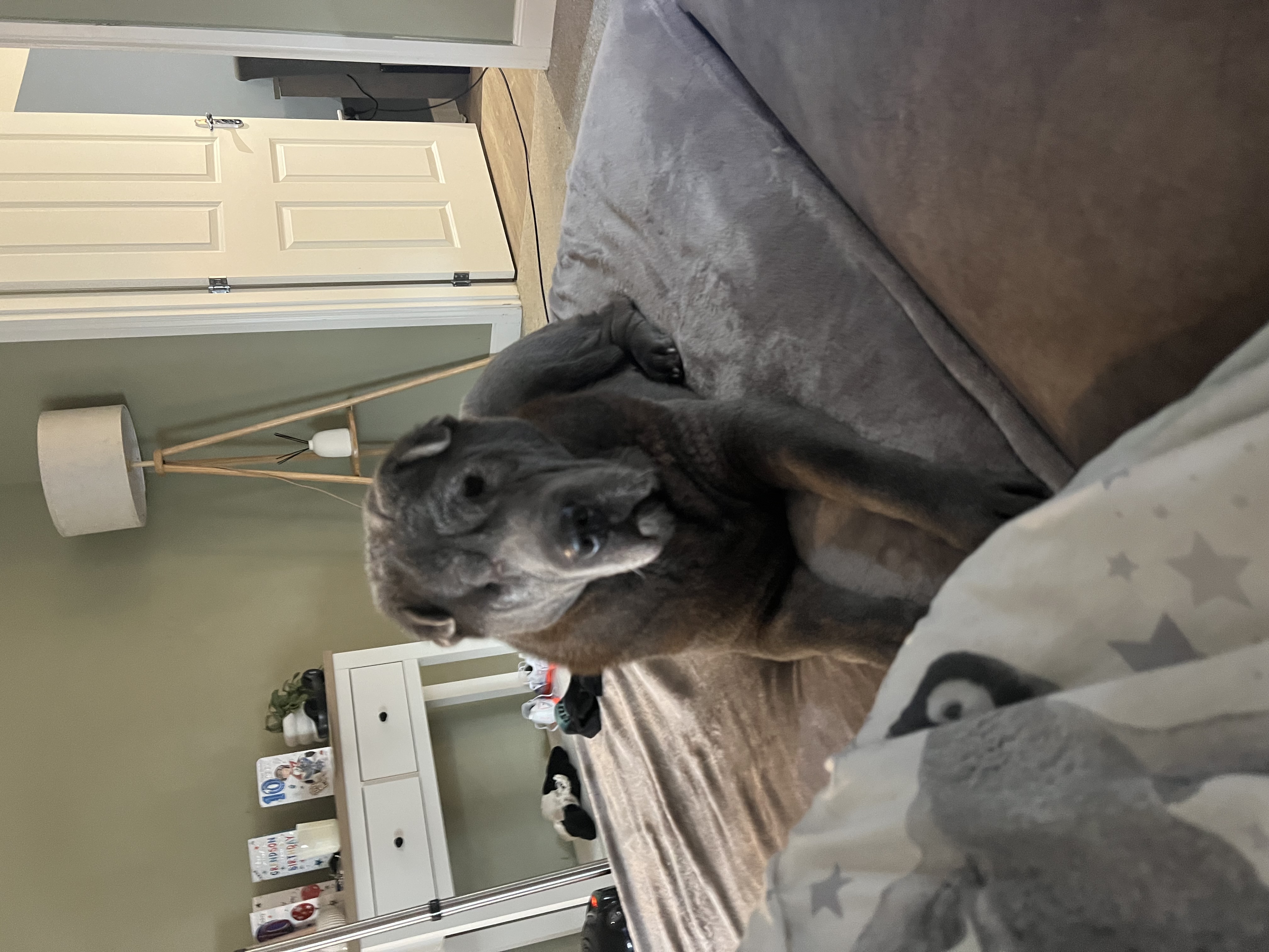 image-10