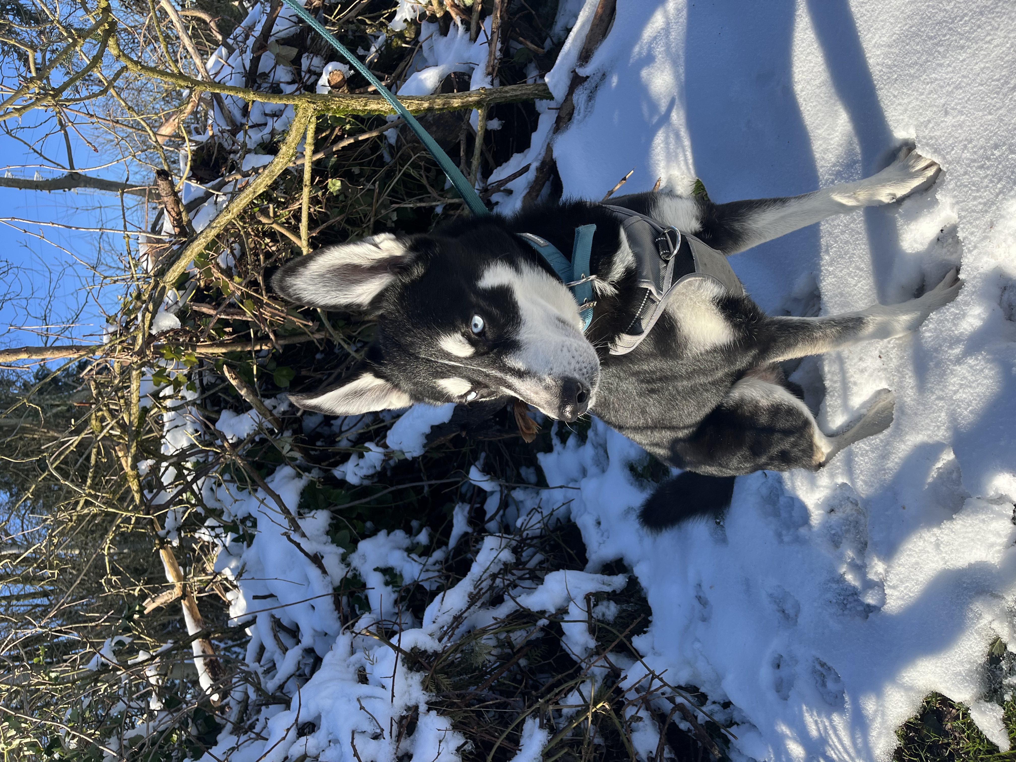 image-6