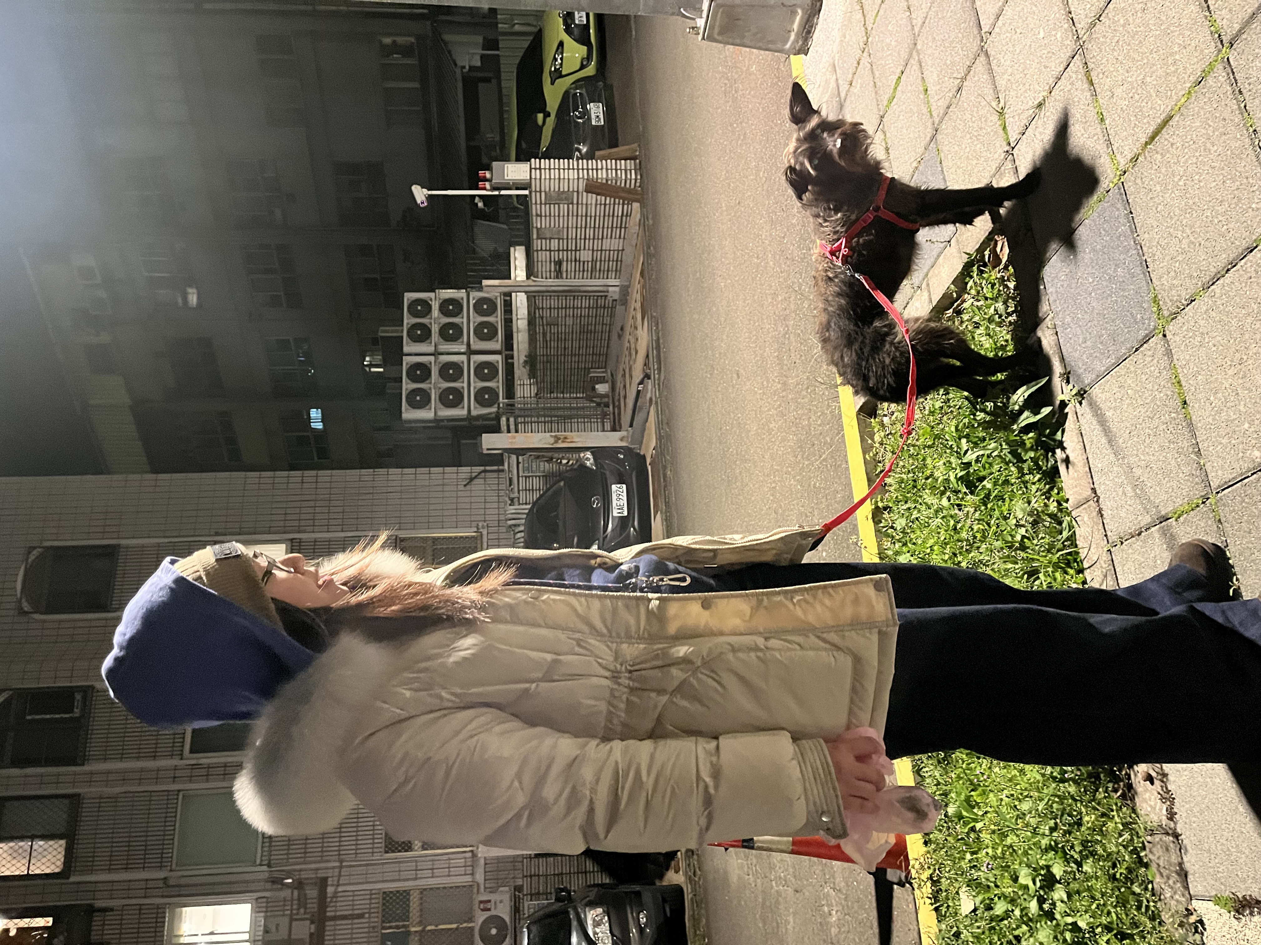 image-10