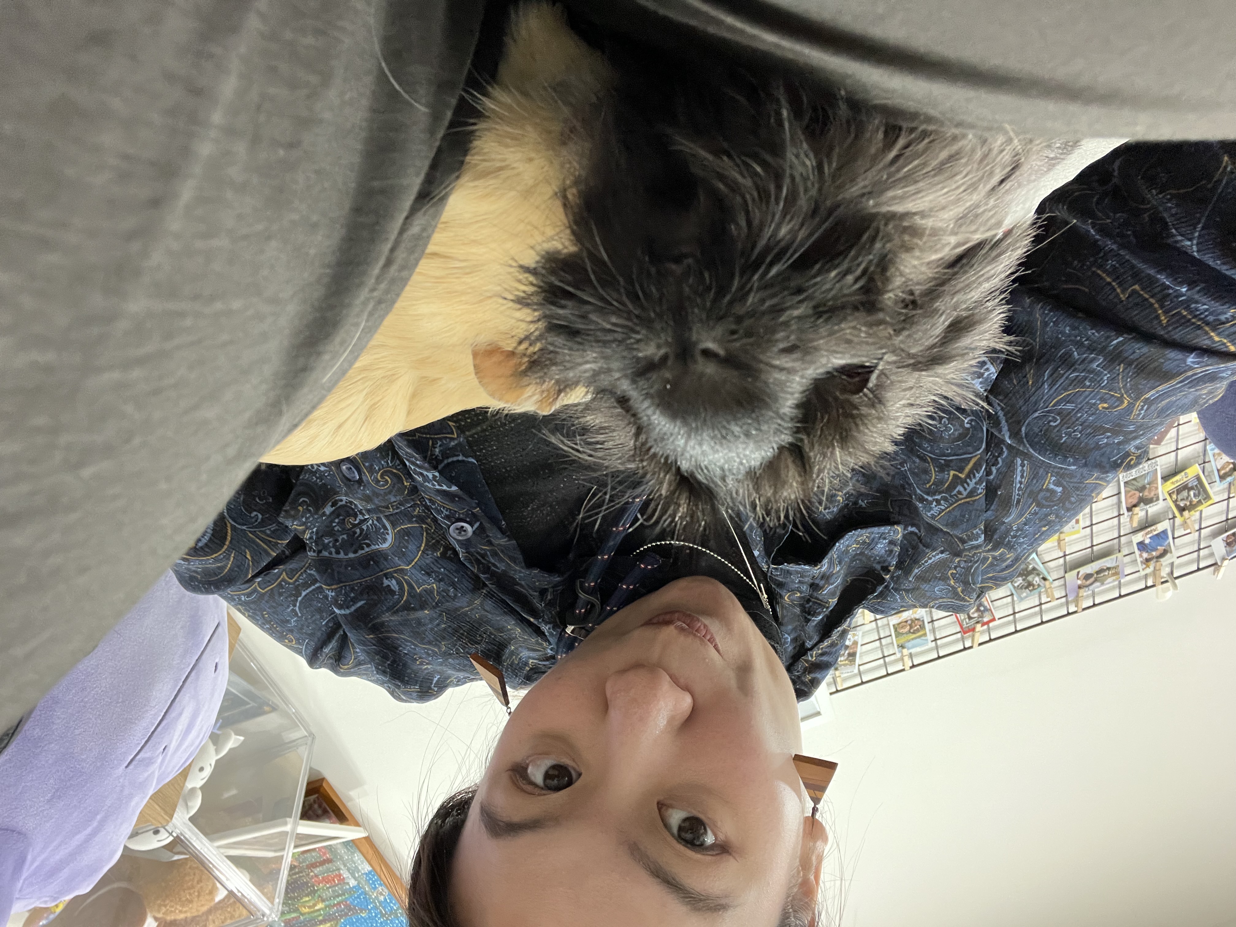 image-7