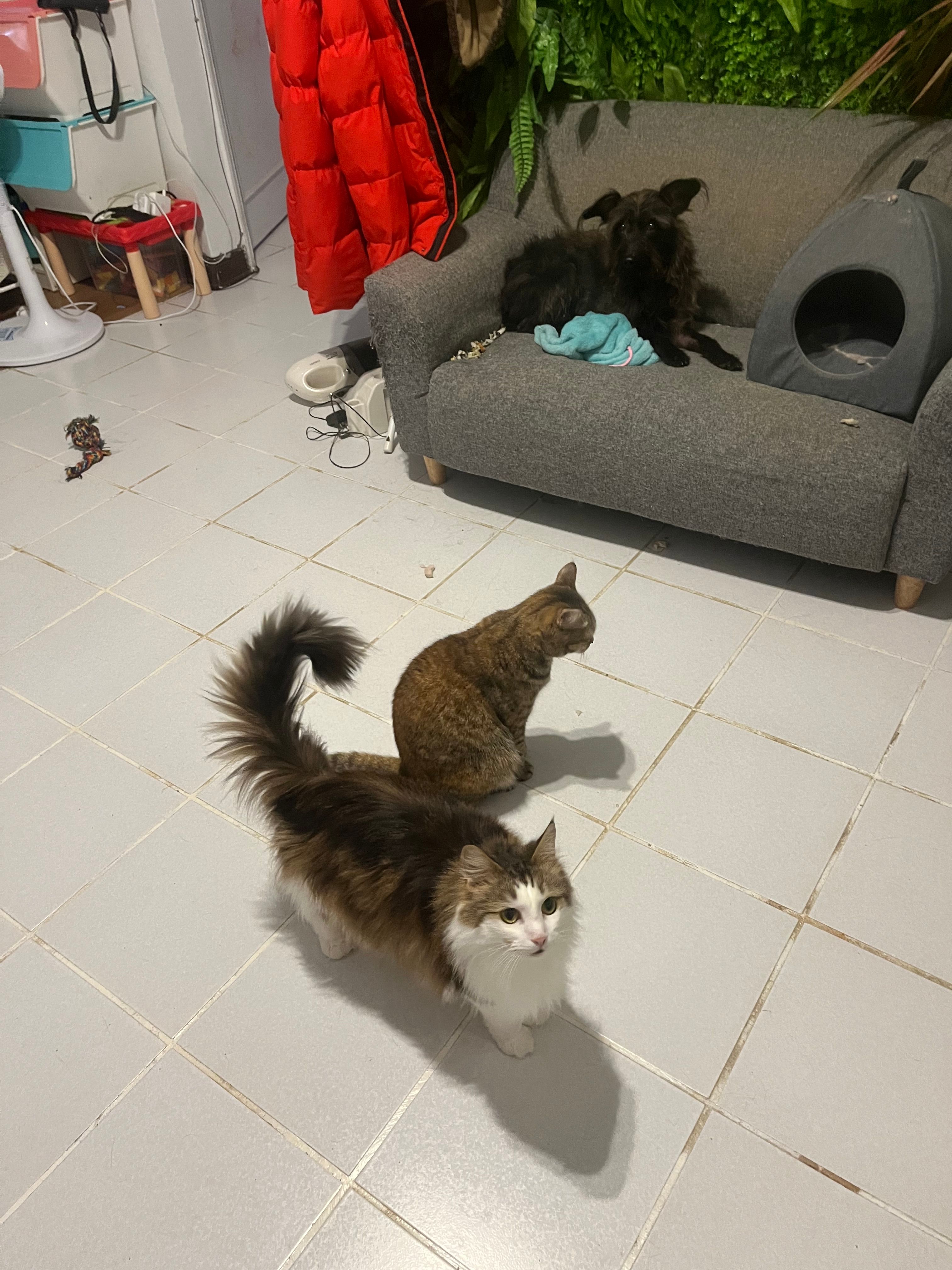 image-8