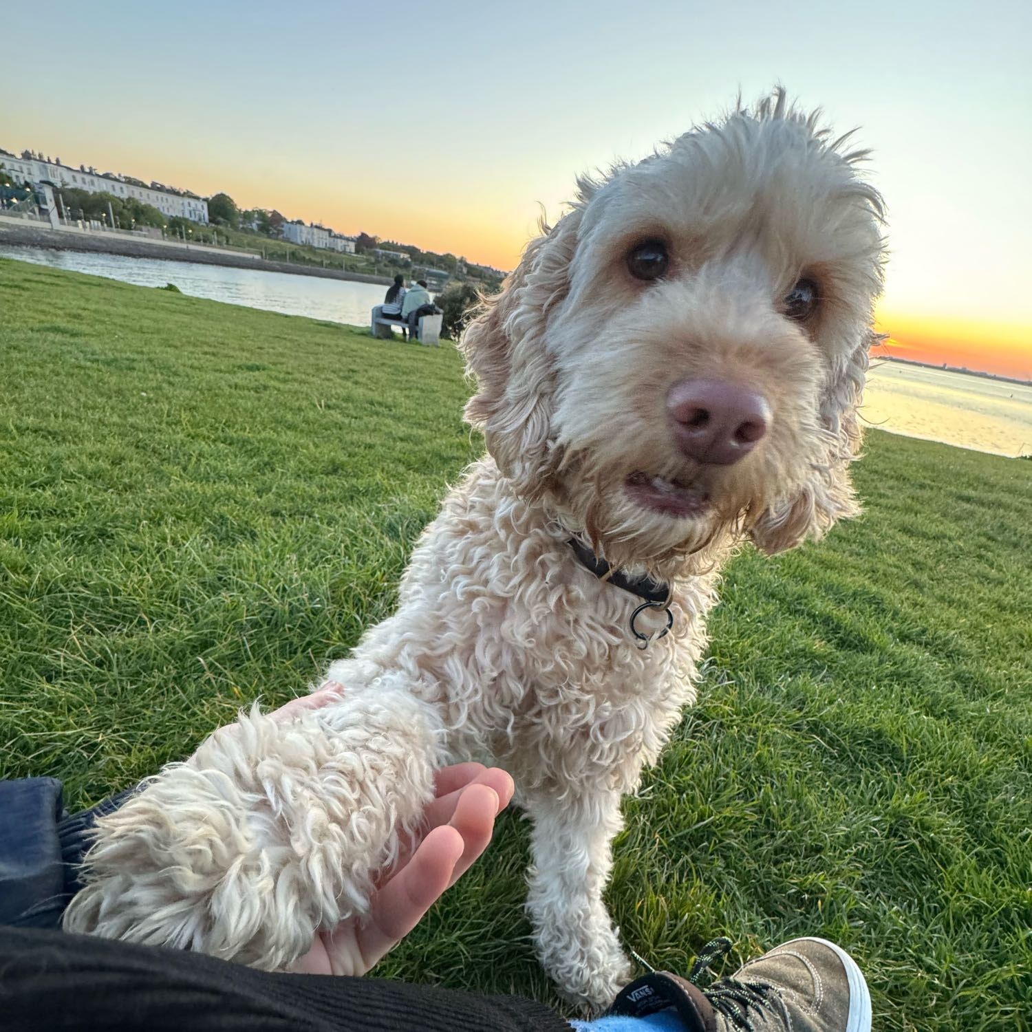Millie