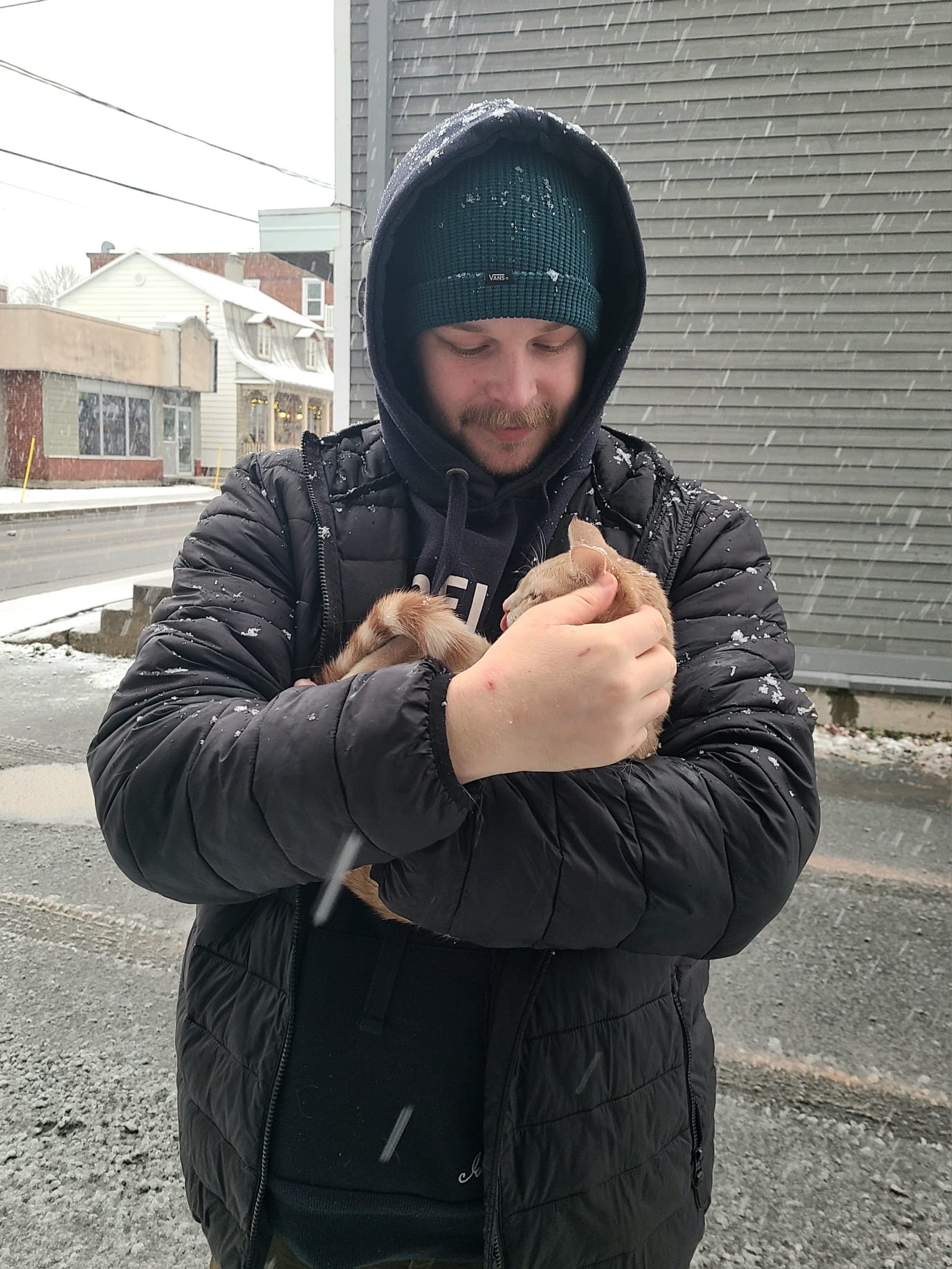 image-8