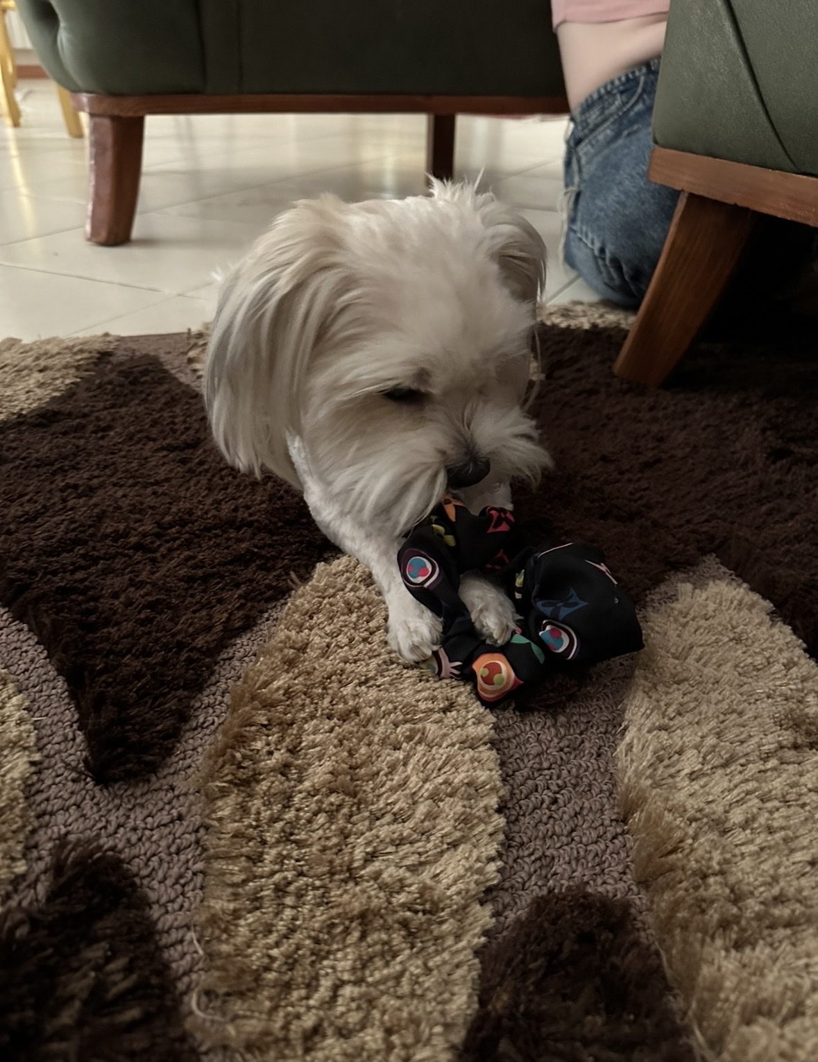 image-13